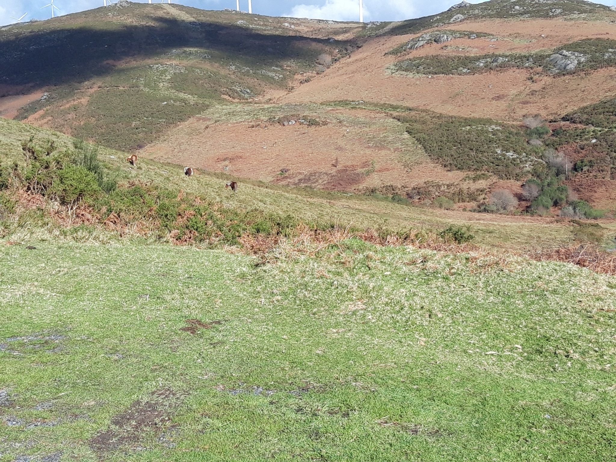 A Mira (1000m, de fondo)