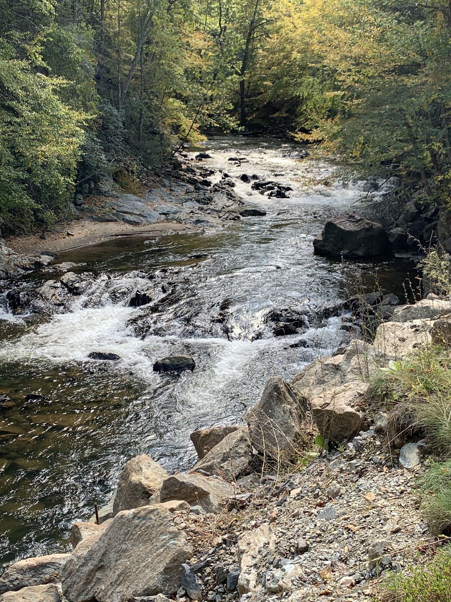 Rocky river with rapids flowing through a green forest in bright sunlight. - Chestnut Creek Falls – Galax loop from Galax