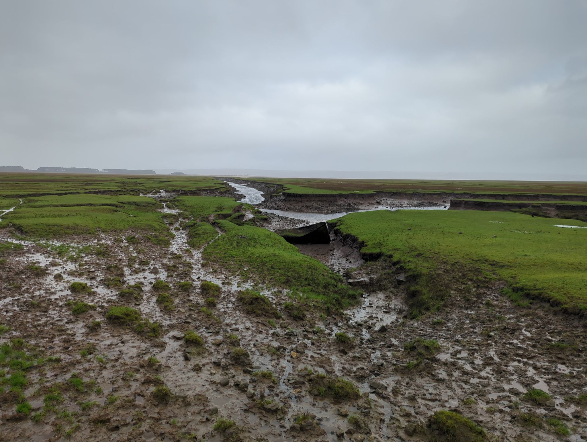 cheriton marsh