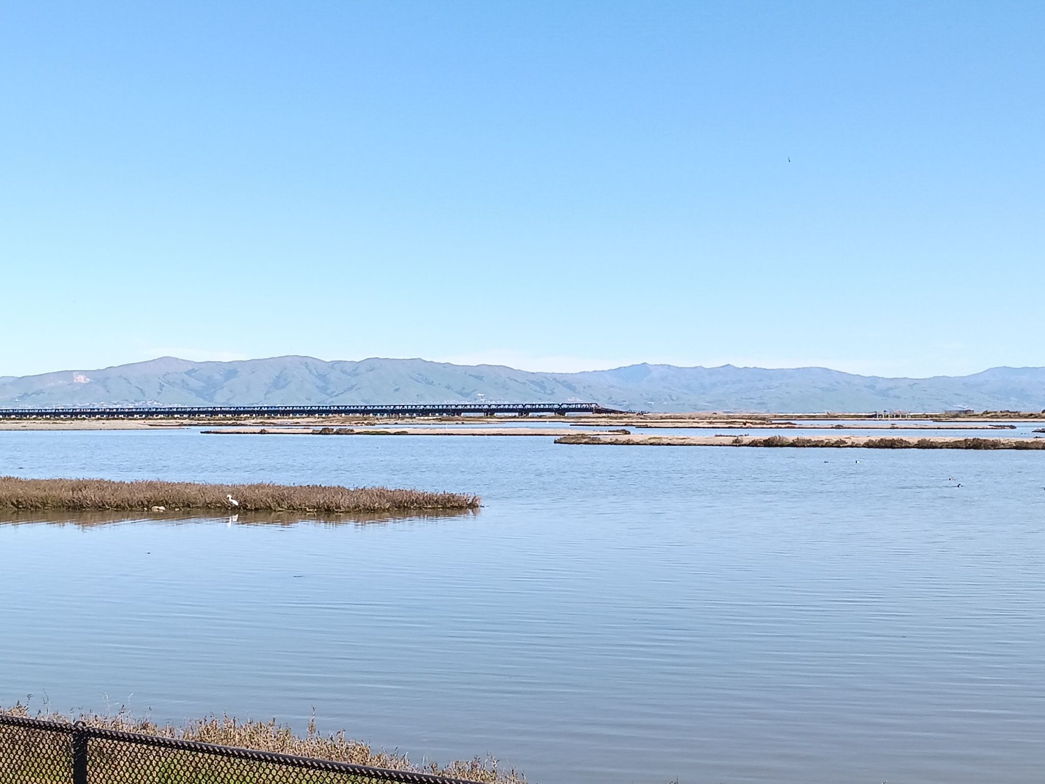 Expansive calm water with marsh islands and a distant bridge under clear blue sky. - Ravenswood Bay Trail Loop