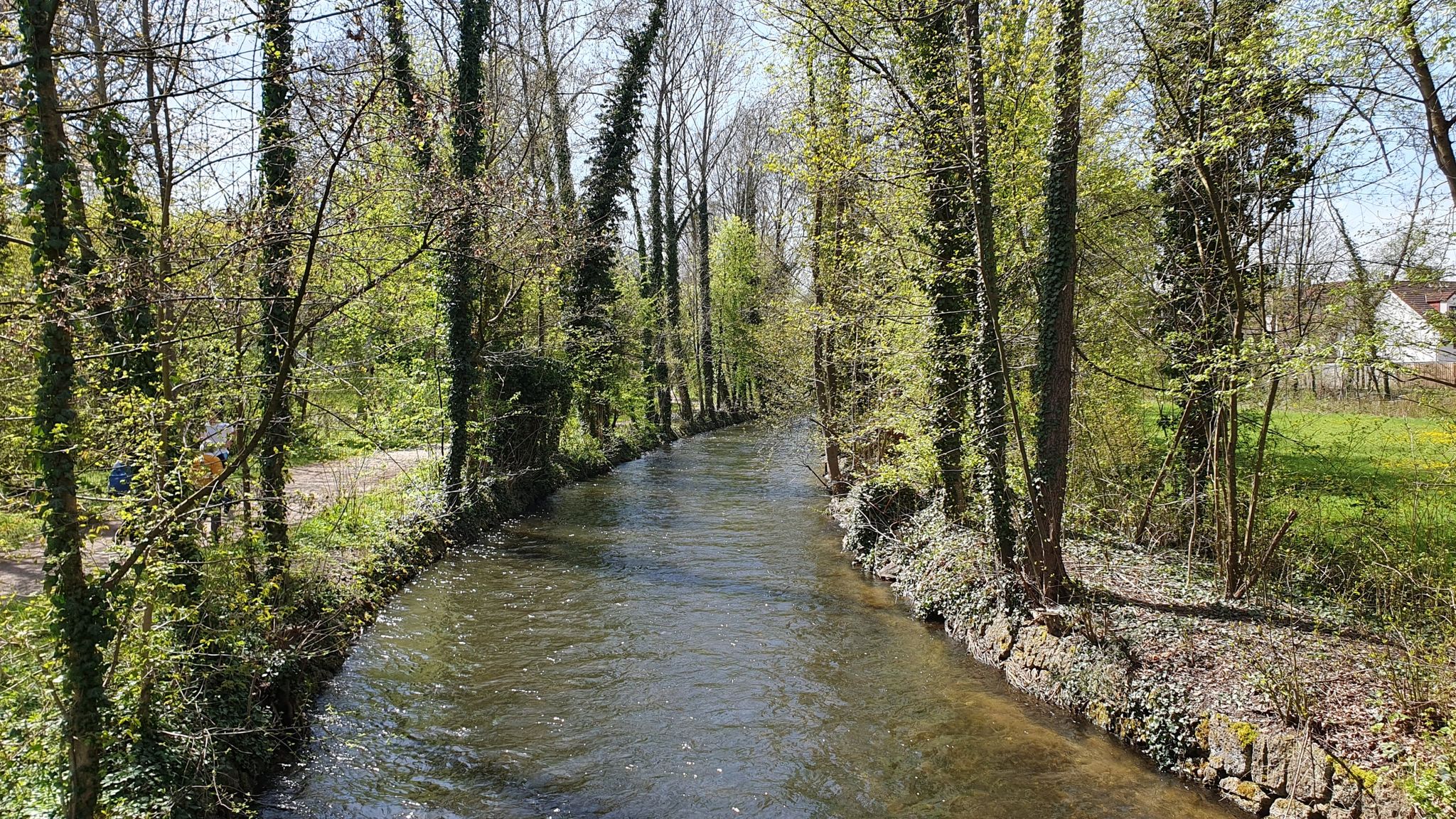 Würm