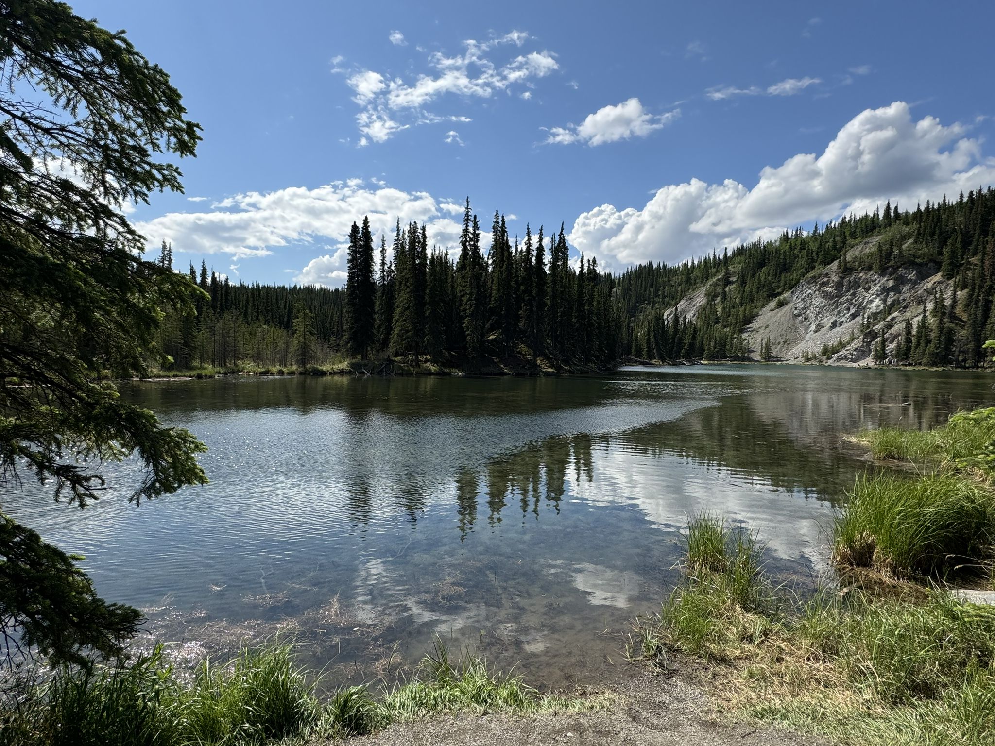 Clear lake reflecting trees and clouds, surrounded by dense forest and rocky hills. - Taiga Loop and Horseshoe Lake Trail