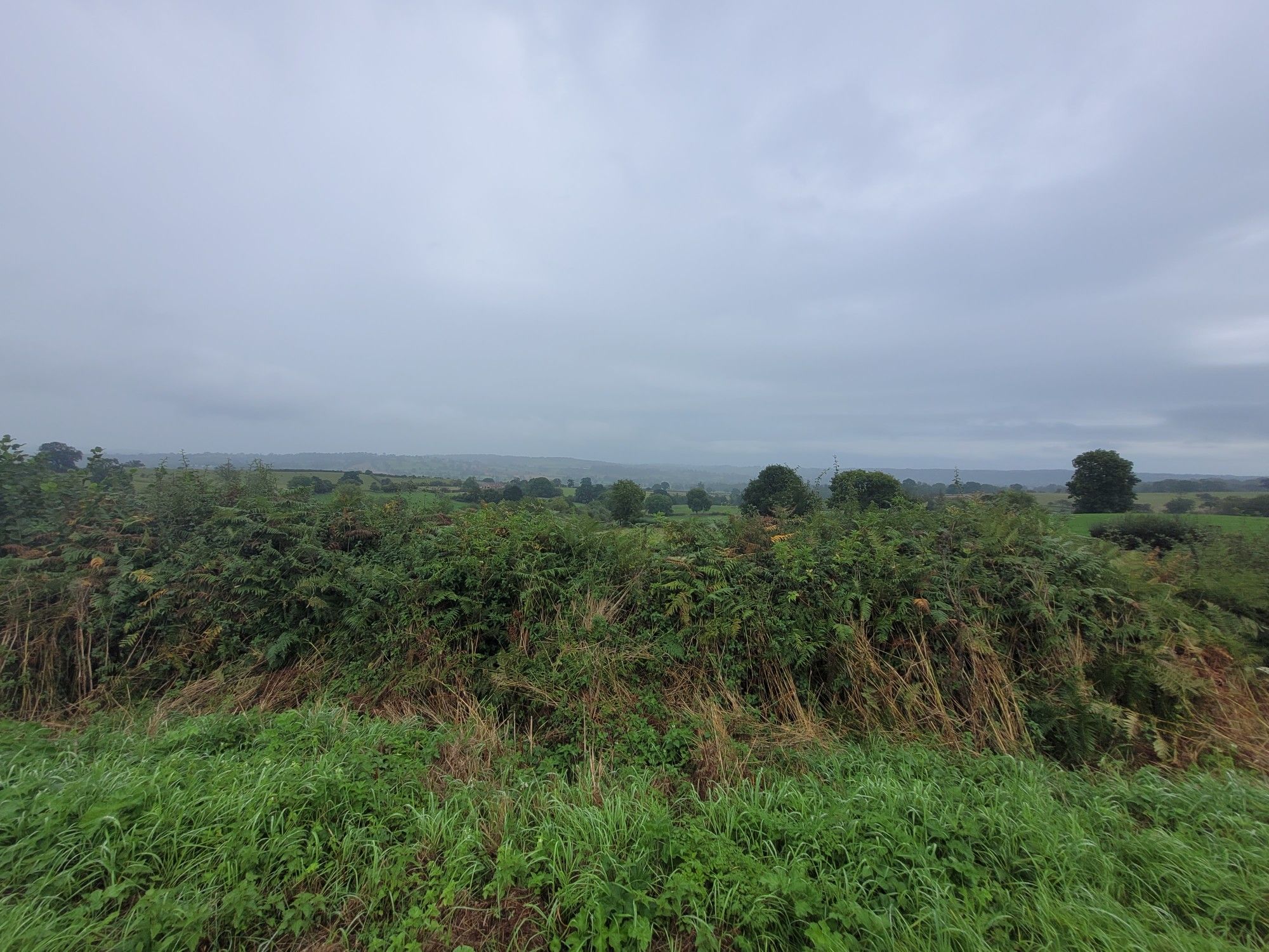 windley loop