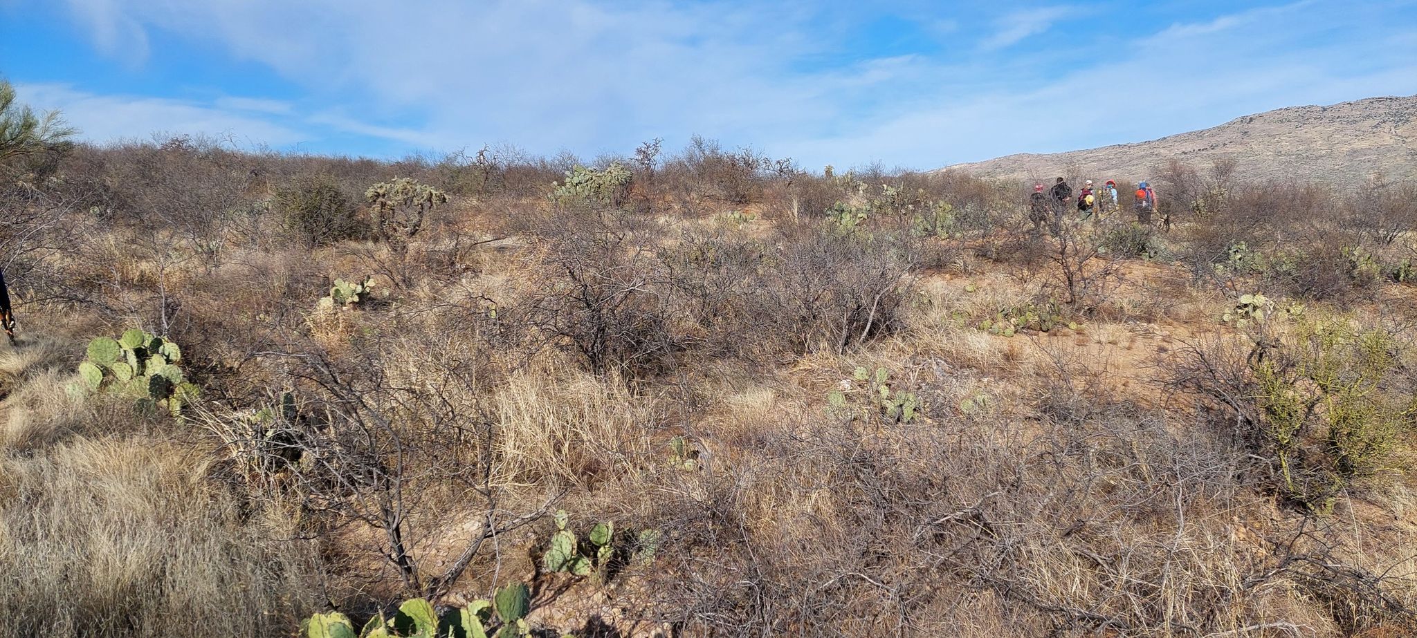 Two people hiking through dry desert brush under a clear blue sky. - Rincon Creek loop from AZT Trailhead