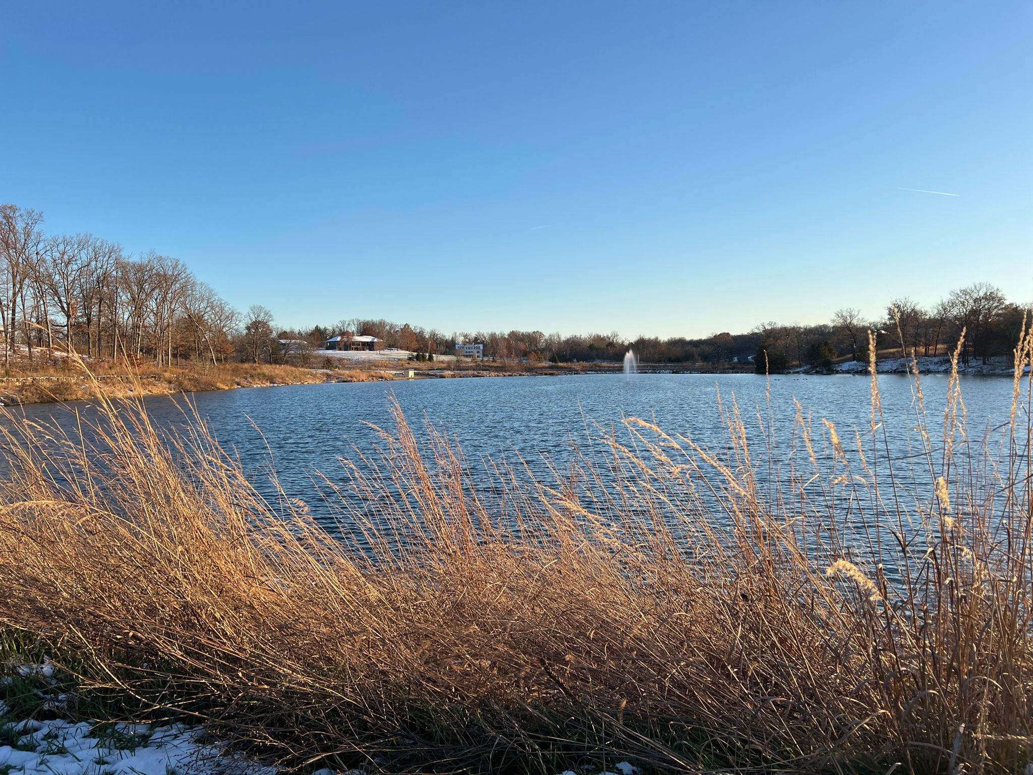 Golden winter grass frames a blue lake with a distant fountain under clear sky. - Brommelsiek Betty's Lake