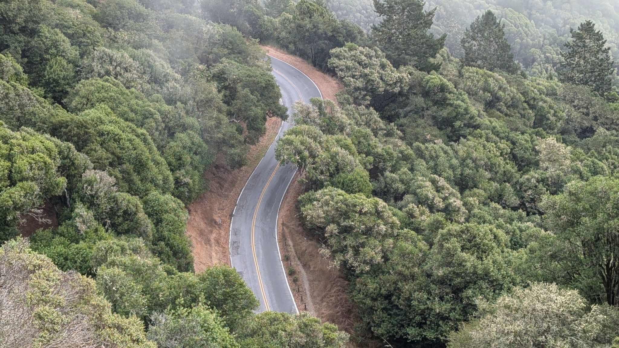 A winding road cuts through a dense green forest on a misty day. - Sun Trail