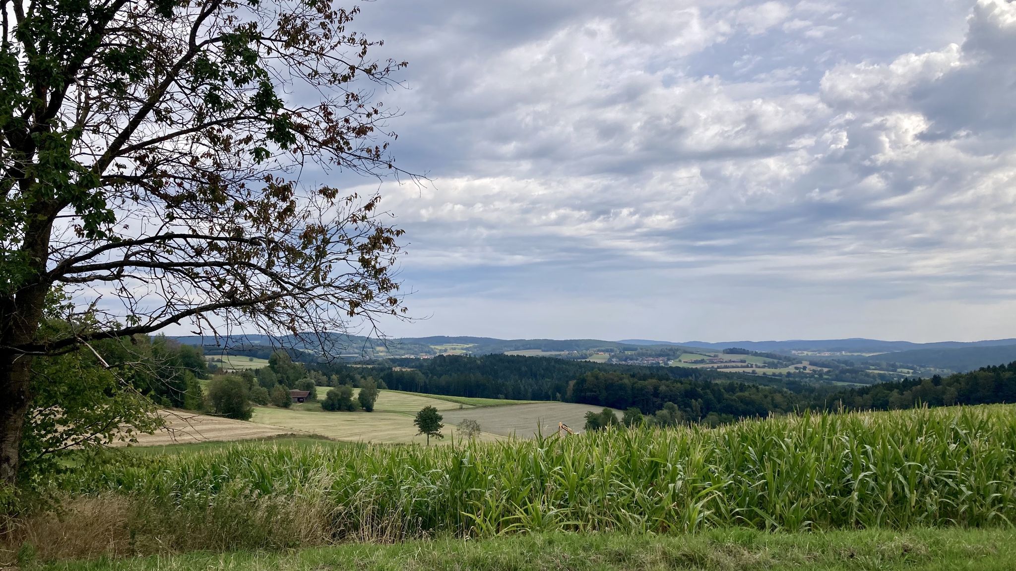 km 20 – und ist man oben, dann weitet sich der Blick und was sieht man?  ... es geht wieder runter