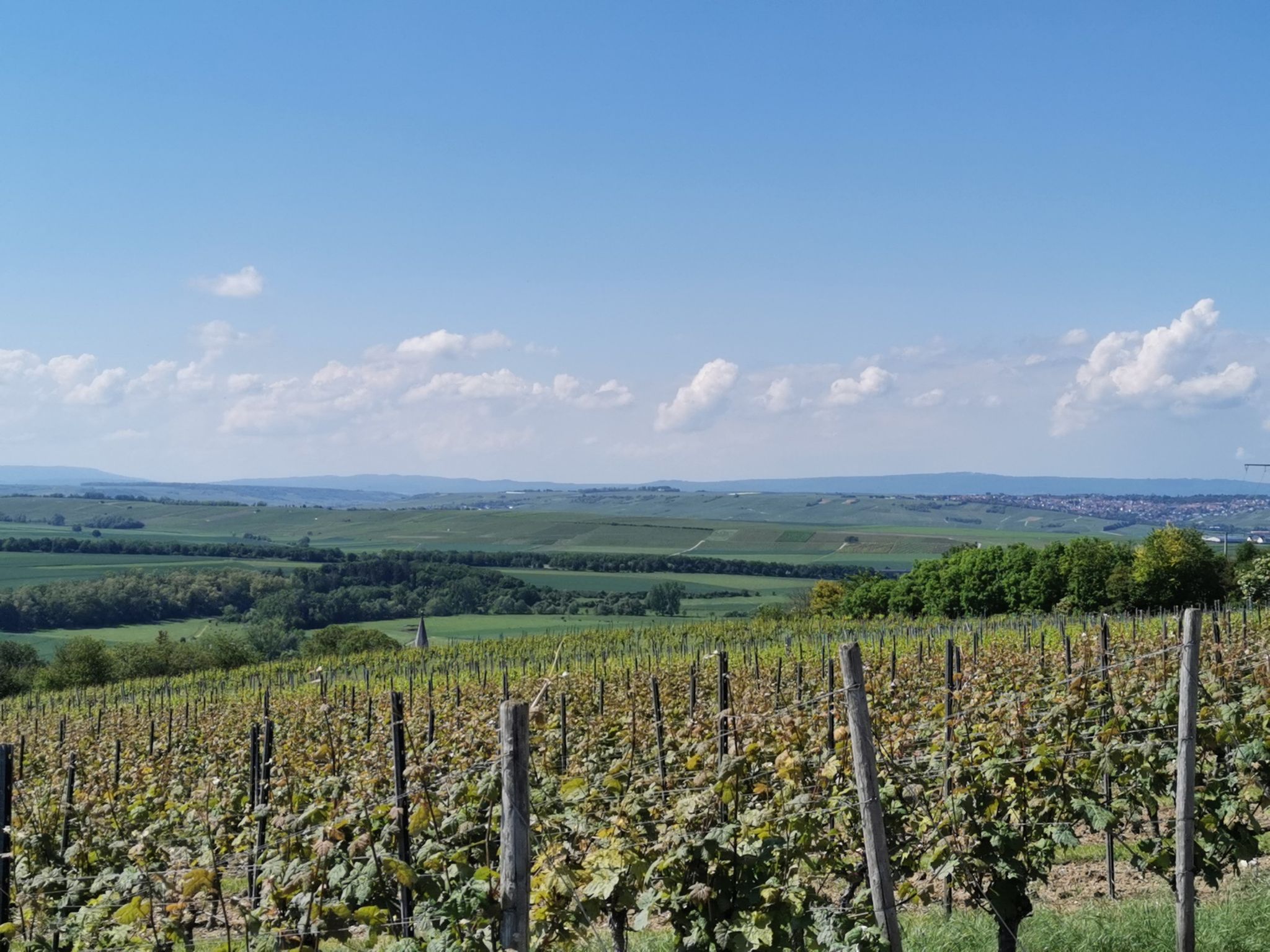 Blick aufs Rheingaugebirge