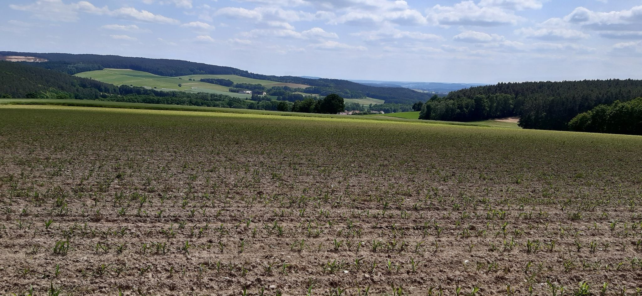 Frohnhof..Mülles