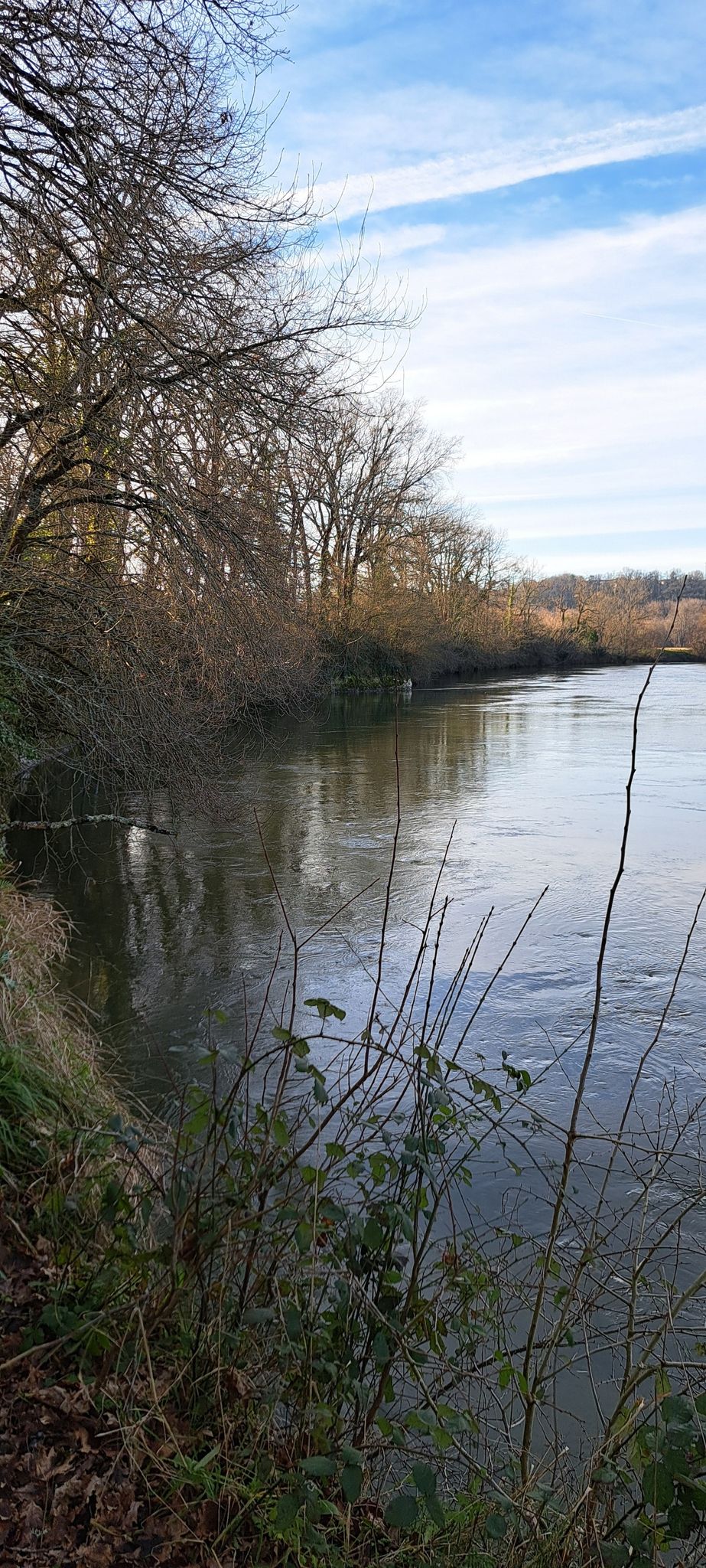 Bord de l'Isle
