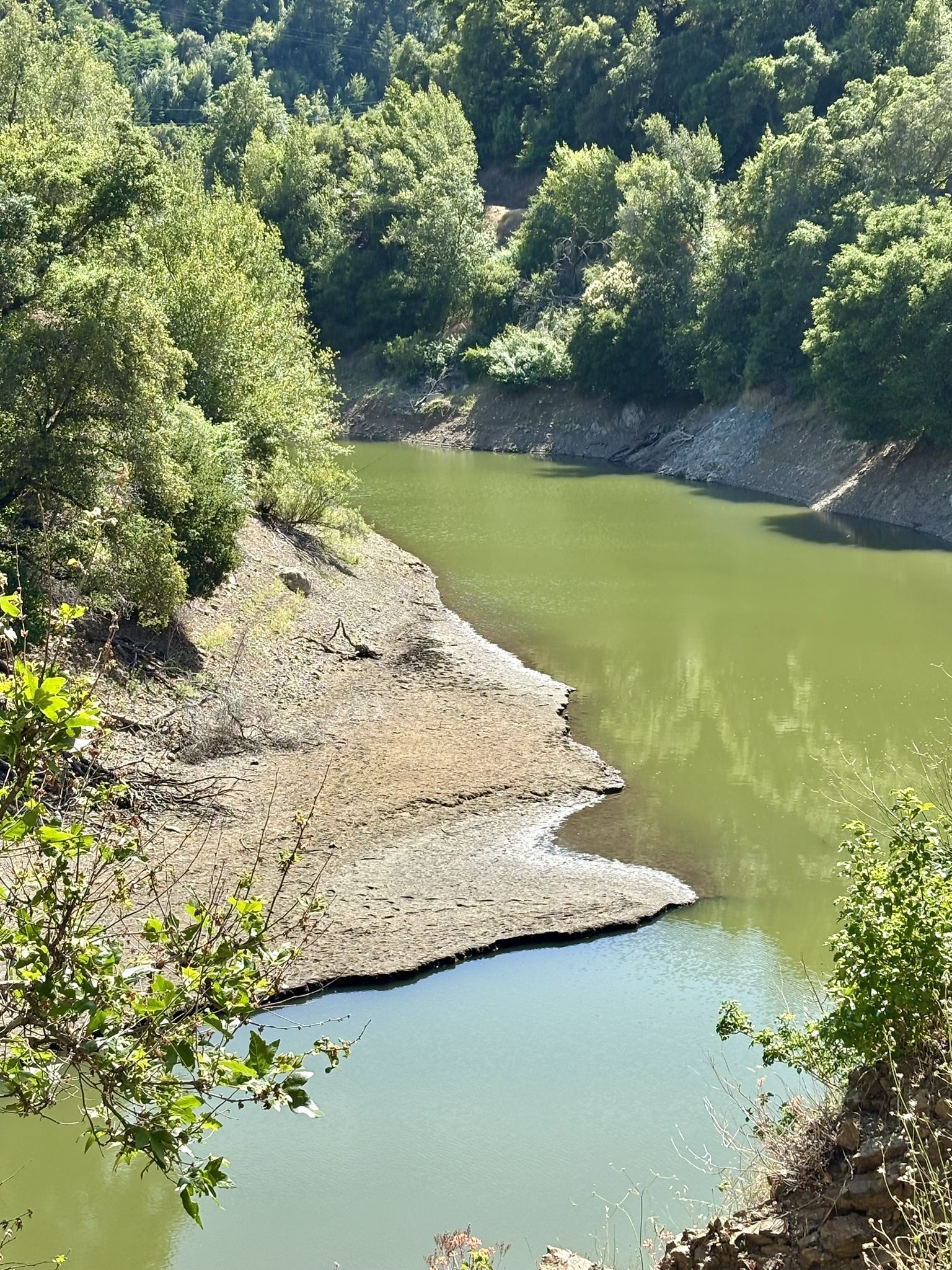 A narrow, green-tinted lake winding through lush, sunlit forested hills. - Eureka Canyon Loop