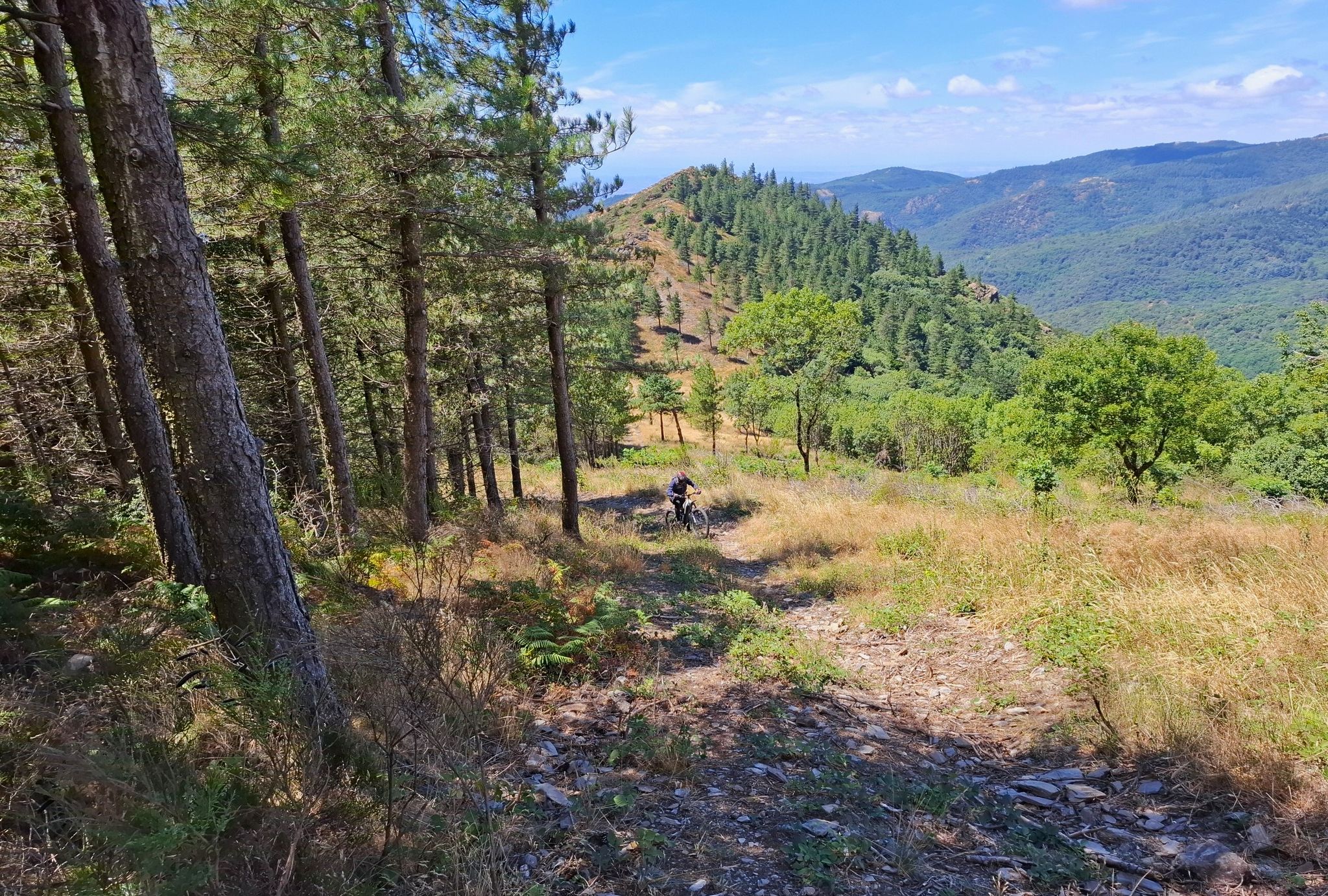 Là, on rebrousse chemin ; la pente est raide mais surtout il y a des pierres et des branches qui déstabilisent l'équilibre sur le vtt.