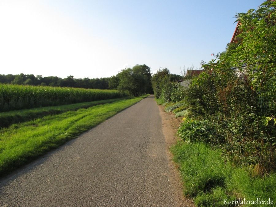 Kraut- und Rüben Radweg