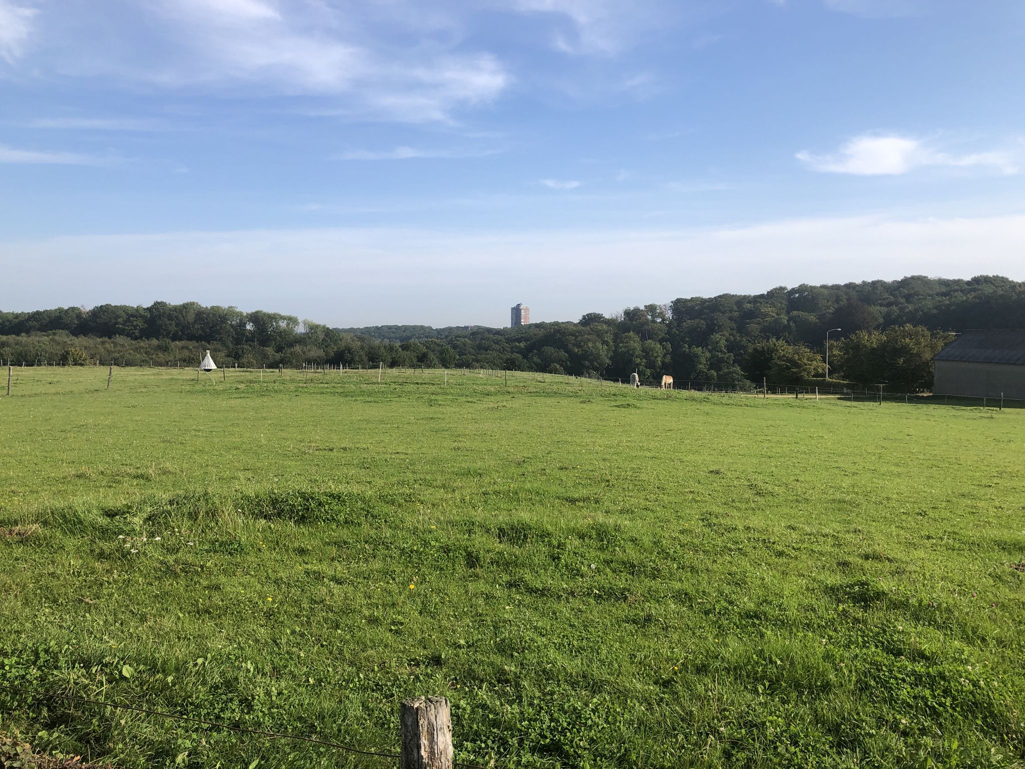 Uitzicht over Imstenraderbos richting Heerlen