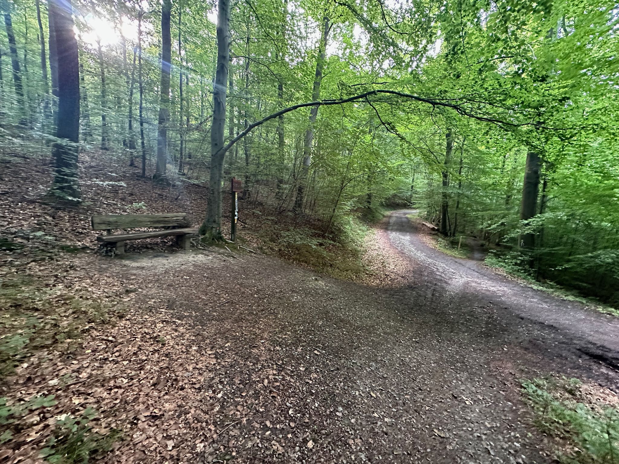 Rastplatz am Wegkreuz