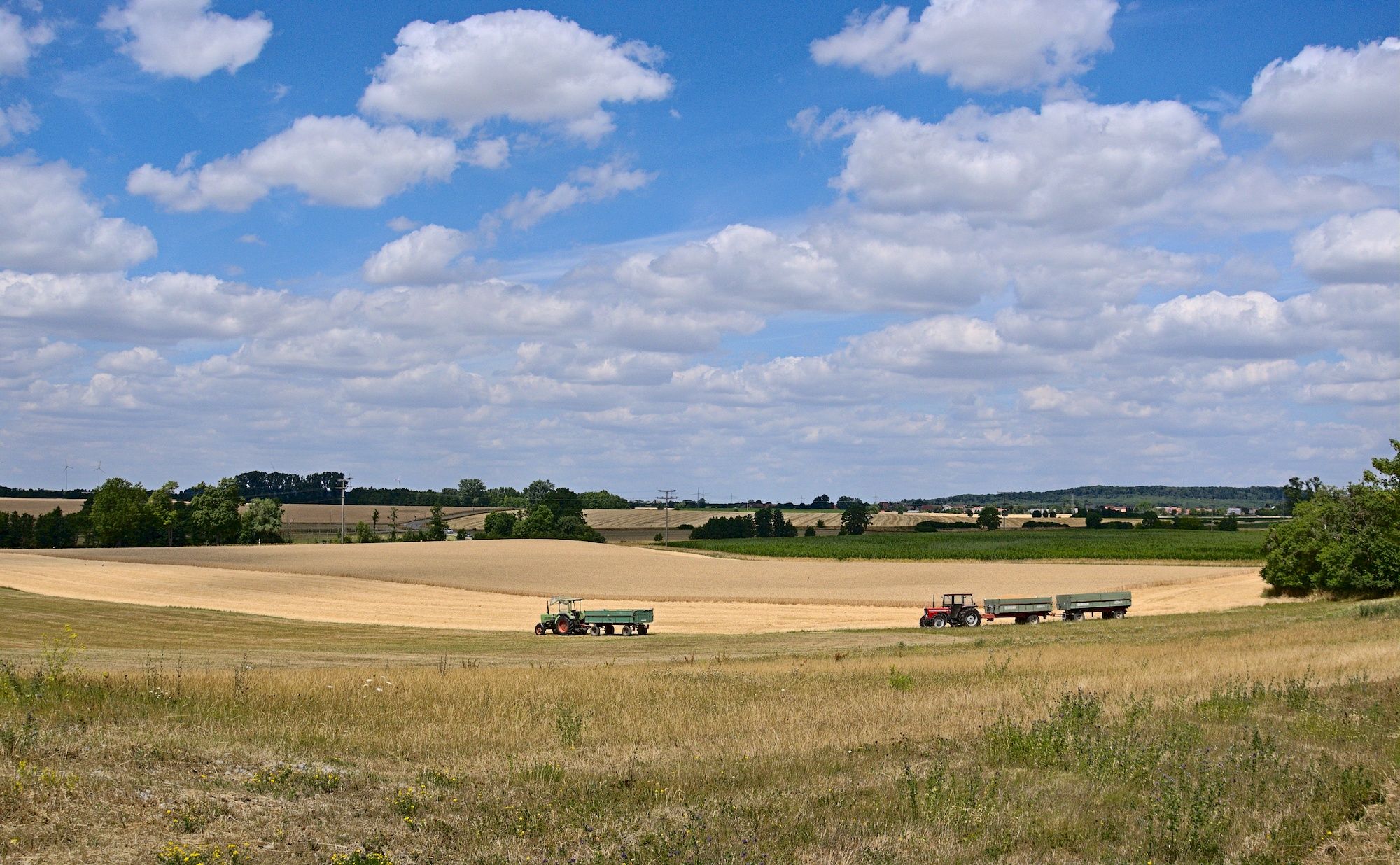 Ausblick bei Schweinsdorf
