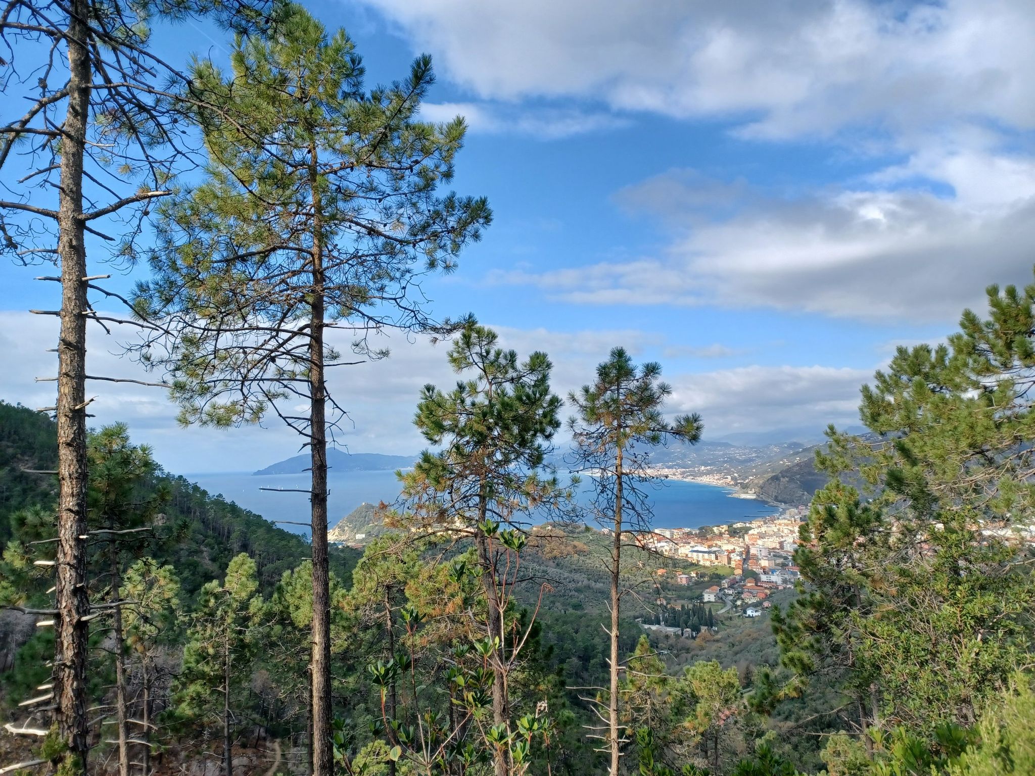 da Punta Manara : Sestri in prima fila