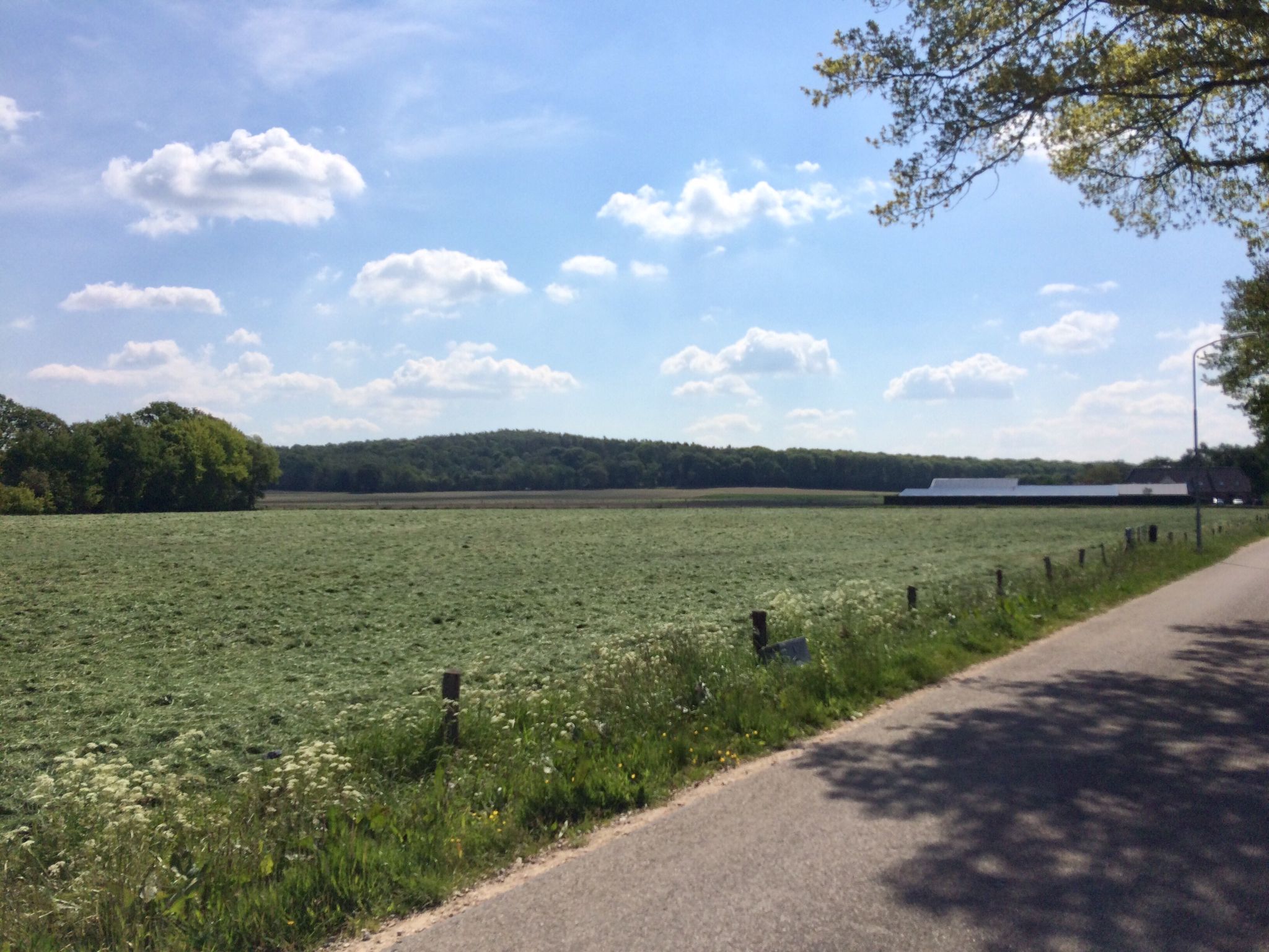 zicht op de Drüller Berg