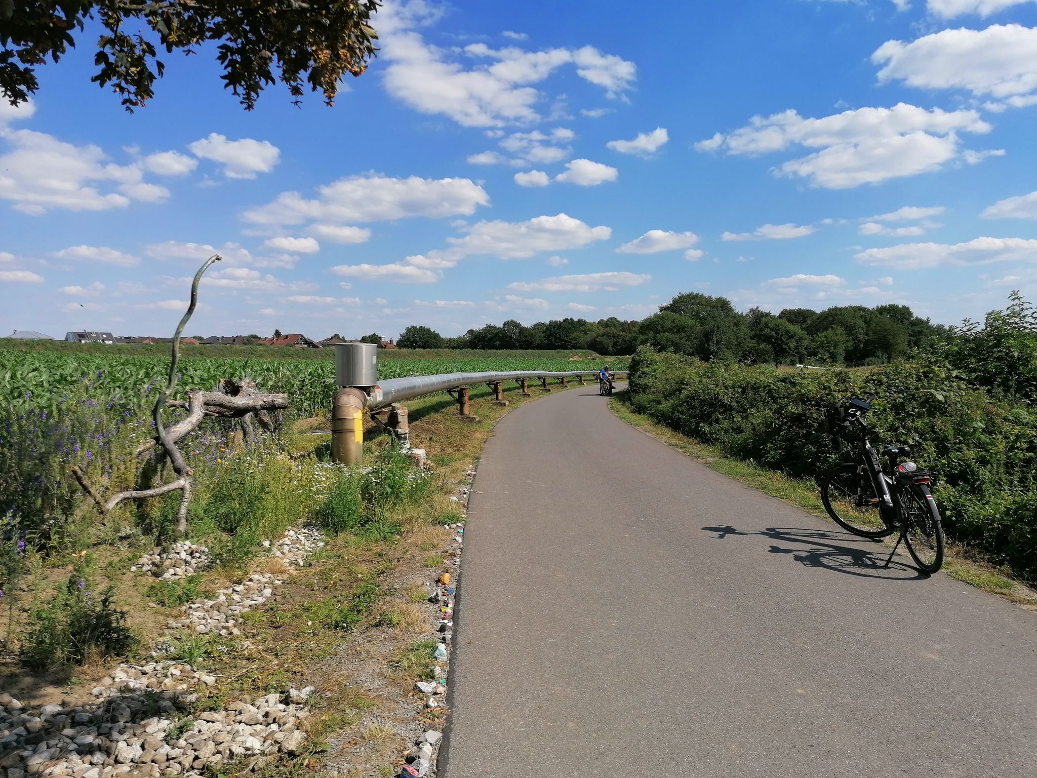 Die Hauptstrecke der Allee des Wandels ist ca. 10,1 km lang (https://www.ruhrgebiet-industriekultur.de/radweg-allee-des-wandels.html)