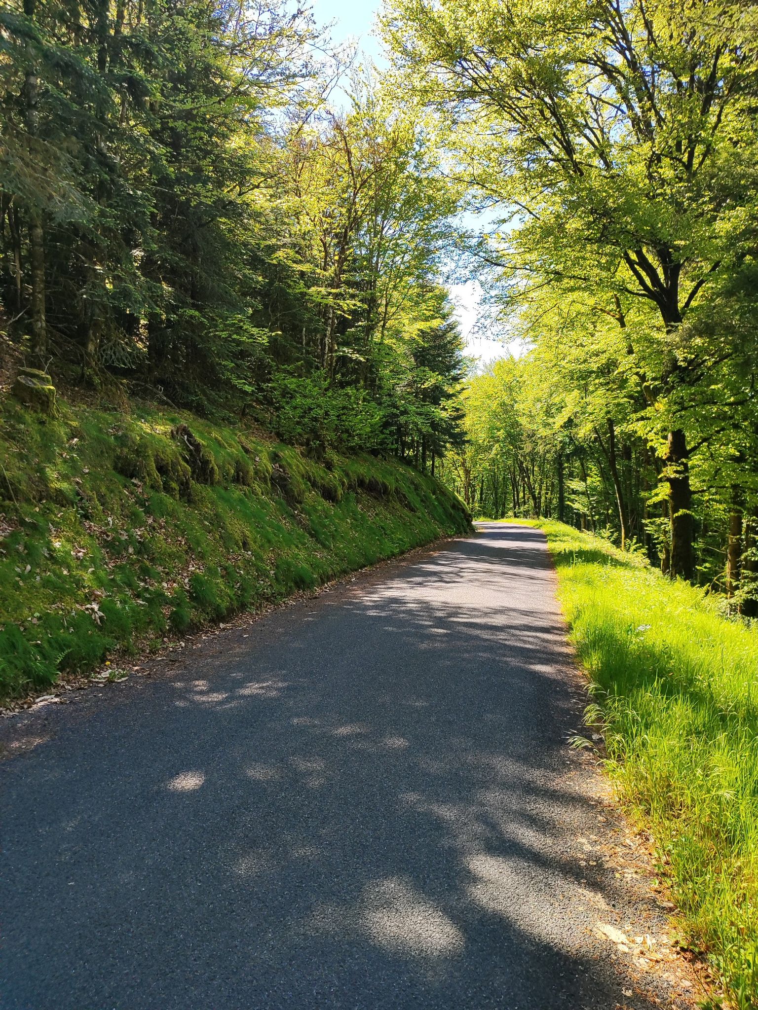 descente