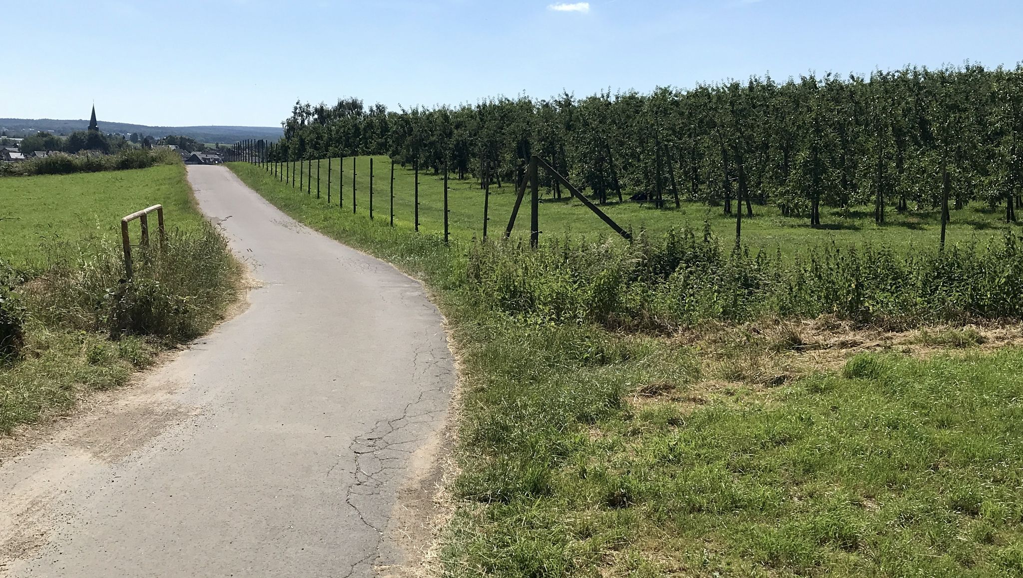Obstplantage in Hastenrath