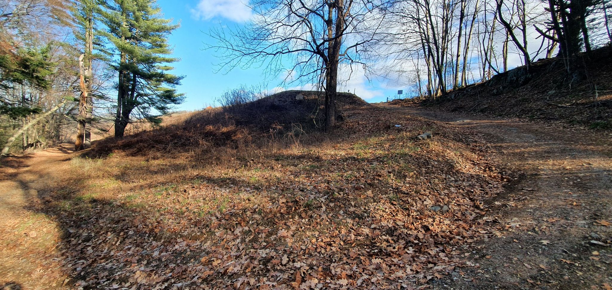 A fork in a dirt path through a dry, leaf-covered landscape under blue sky. - New England National Scenic Trail