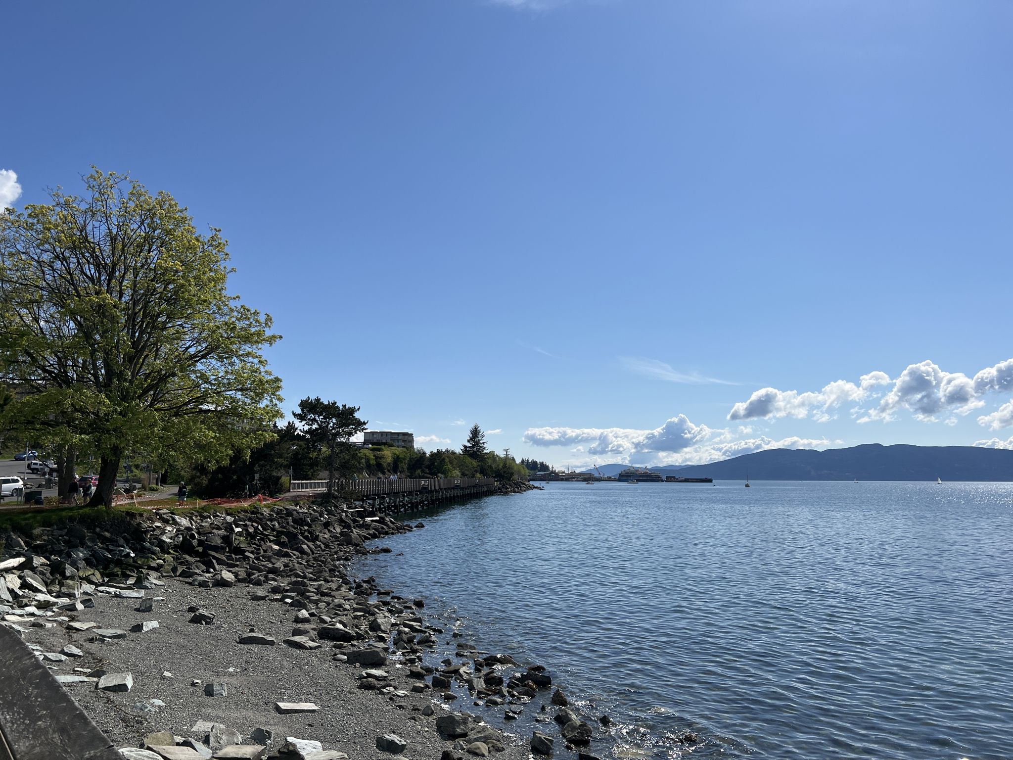 Sunny bay view with rocky shoreline, green trees, and distant mountains. - Boulevard Park – South Bay Trail loop from Sehome Hill Arboretum