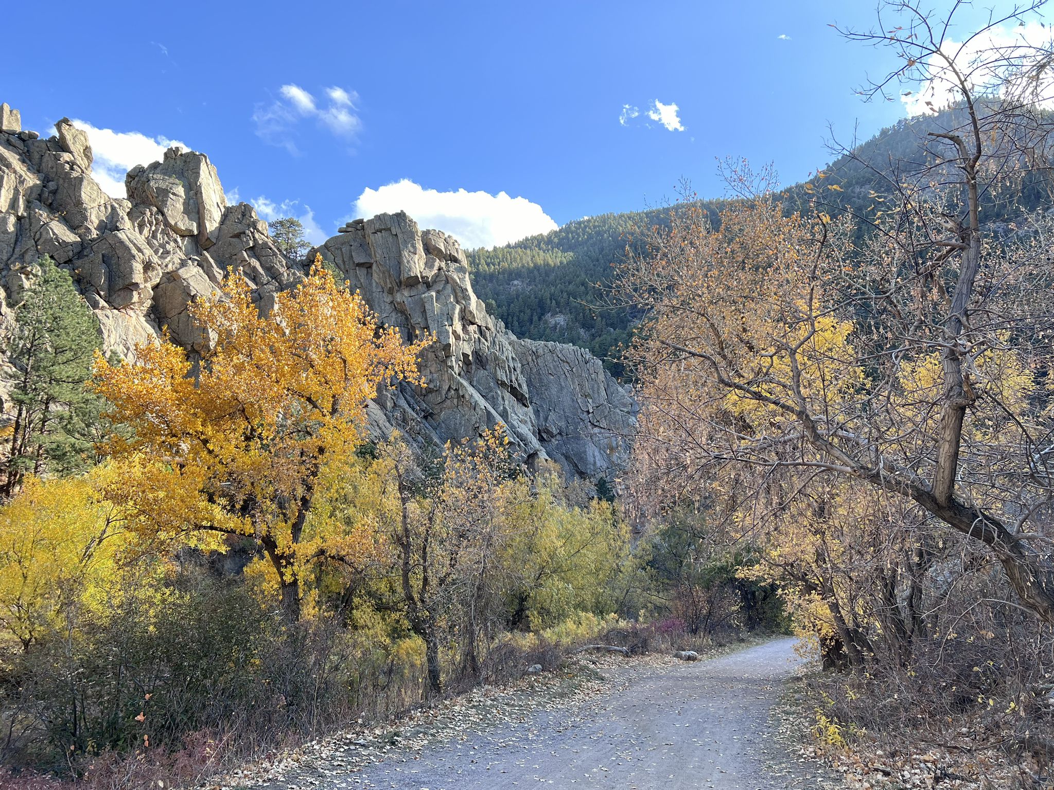 A dirt path winds through autumn trees beside rocky cliffs under blue sky. - Boulder Creek Trail – Varsity Lake loop from Seven Hills