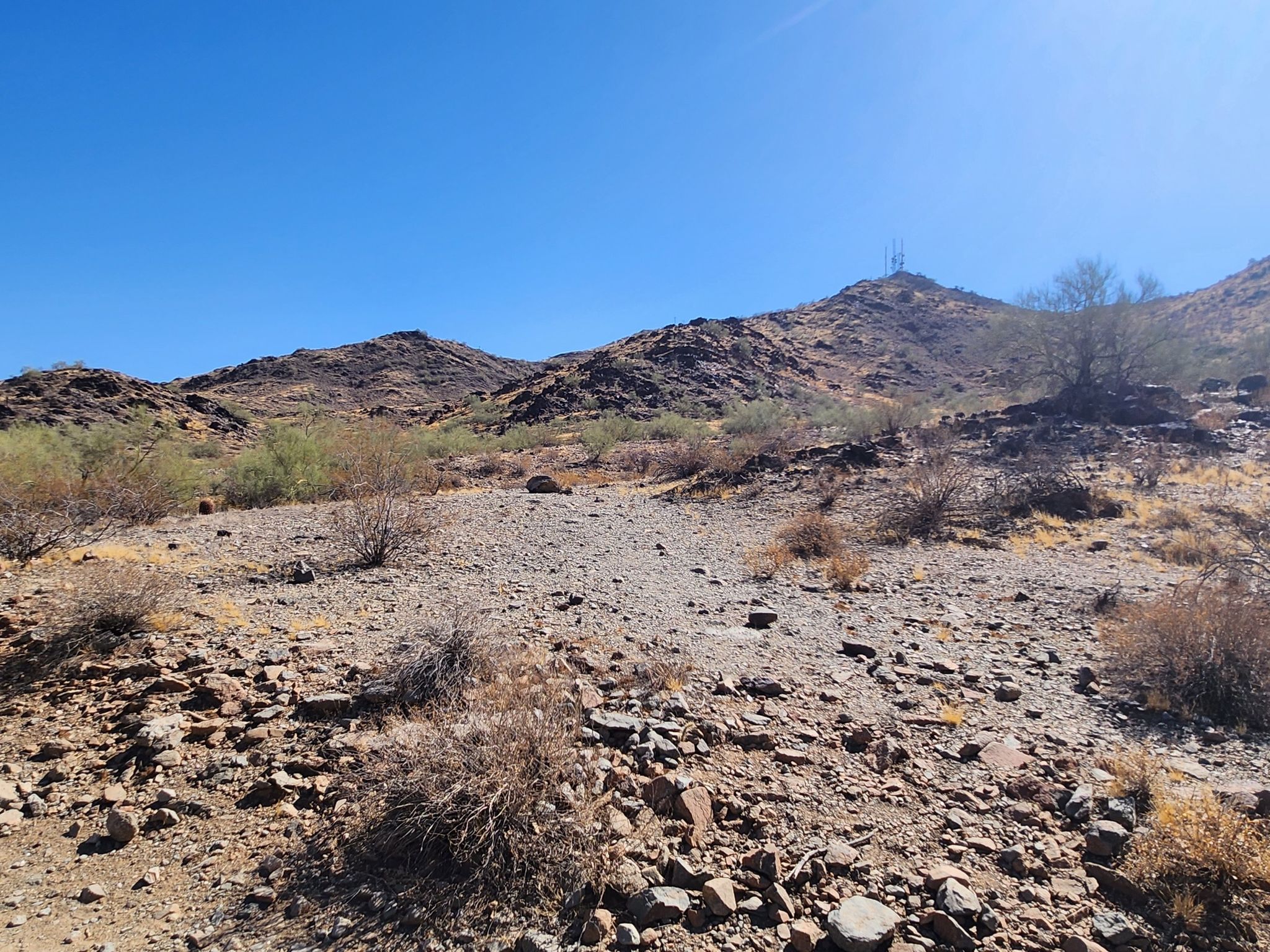 Rocky desert terrain with sparse vegetation under a bright blue sky and distant mountains. - Charles M. Christiansen Trail 100 and Shaw Butte Trail 306 Loop