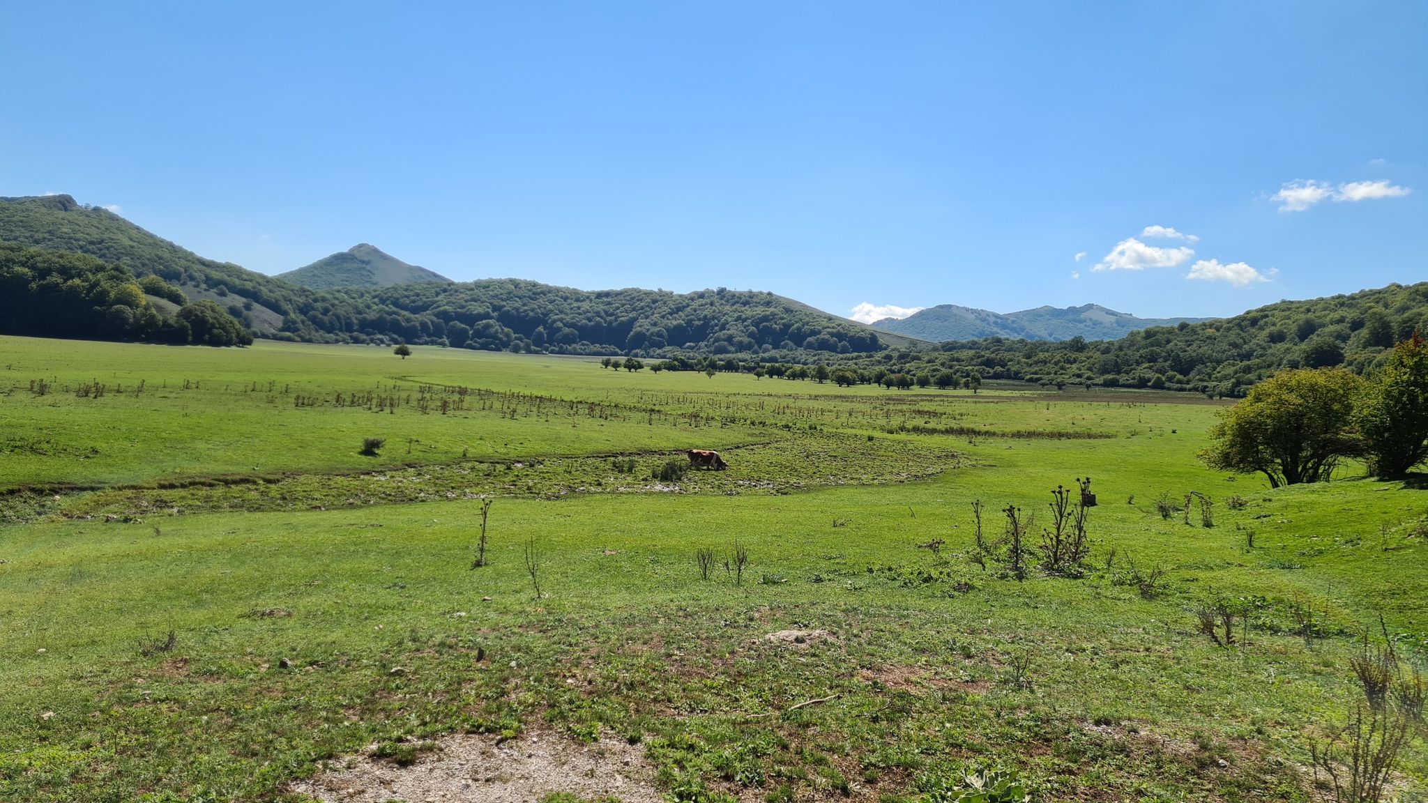 Oasi naturale di Mandranello