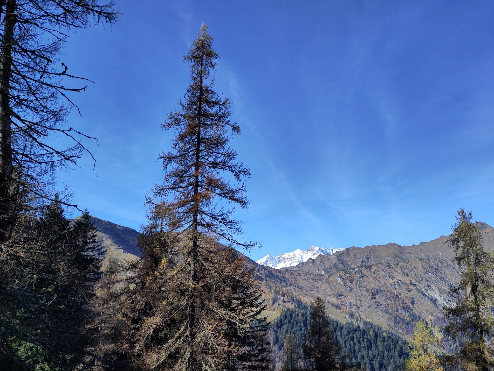 Solo sfondo, le cime del Monte Rosa!