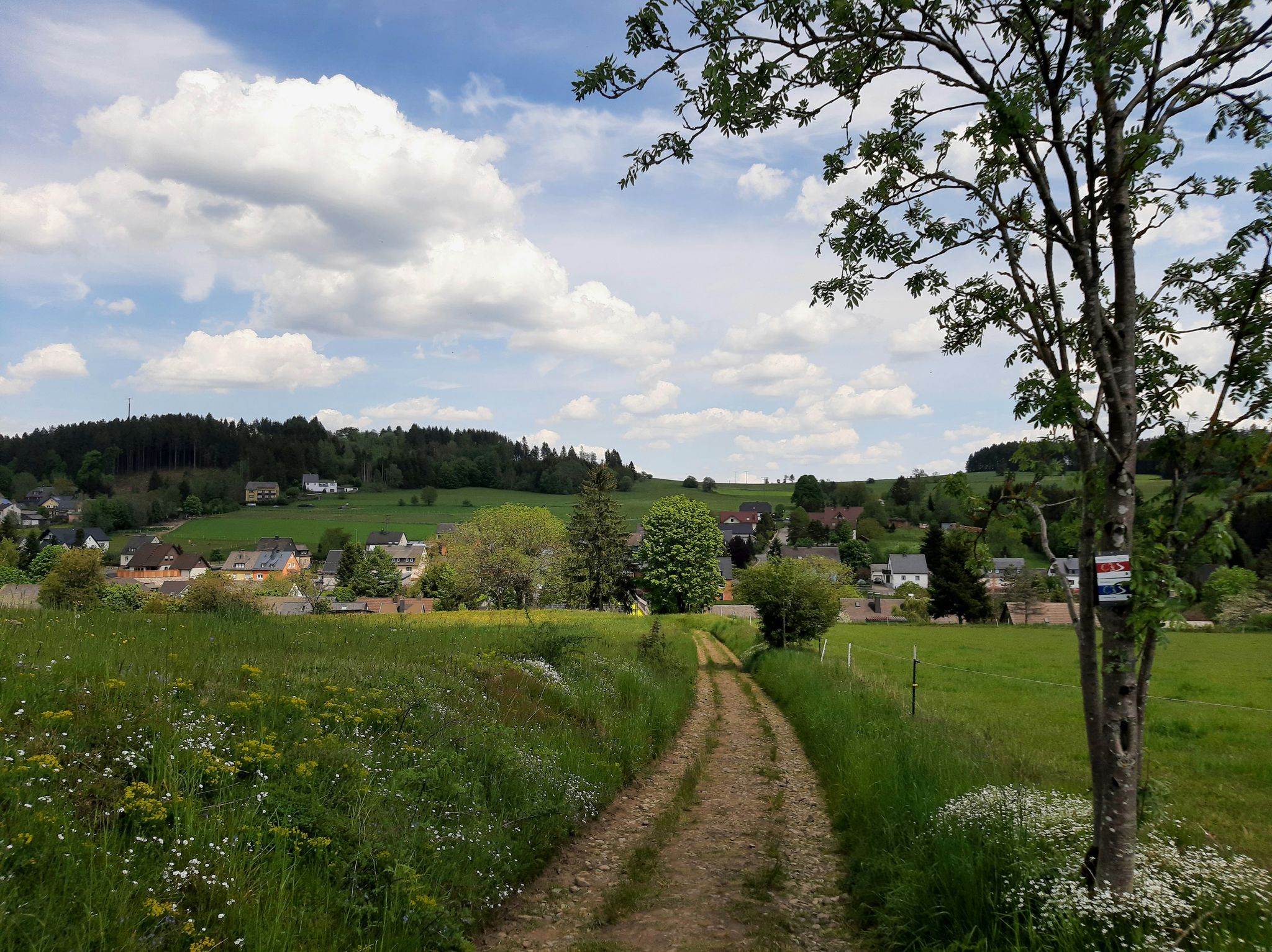 Langenbach