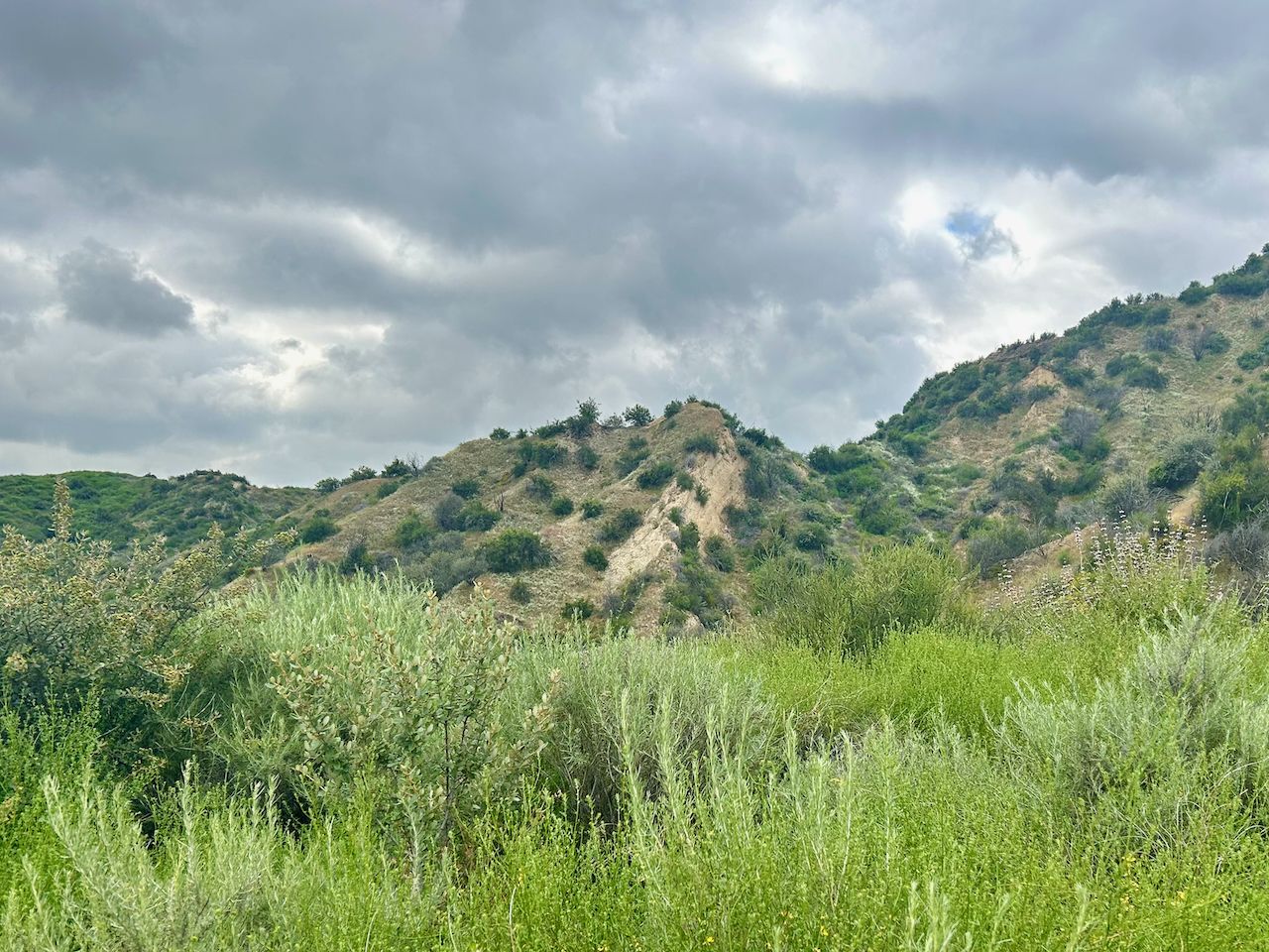 Green, brush-covered hills rise under a dramatic, cloudy sky. - Lyons Ranch and Taylor Loop Trail