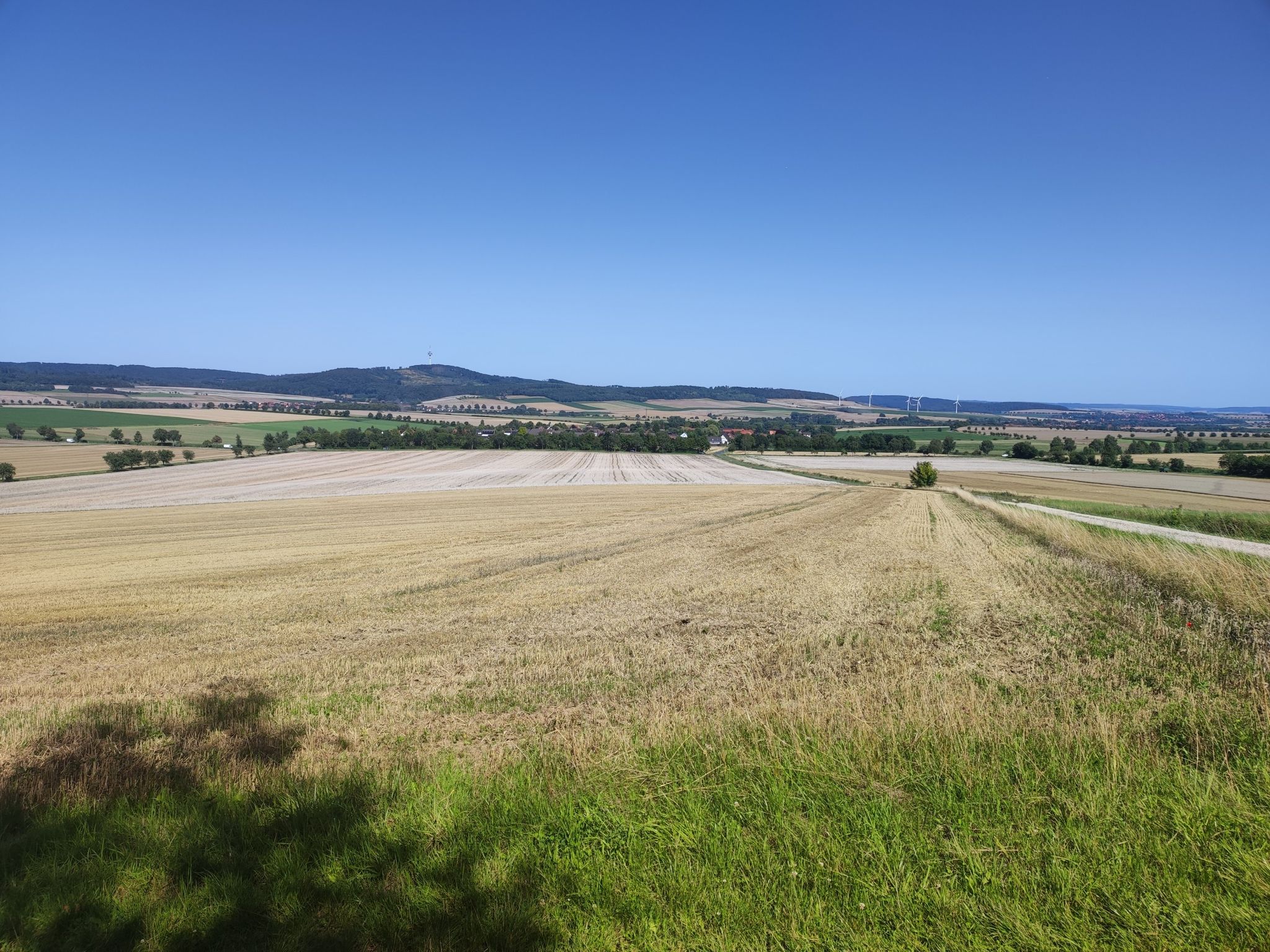 Blick auf Westfeld
