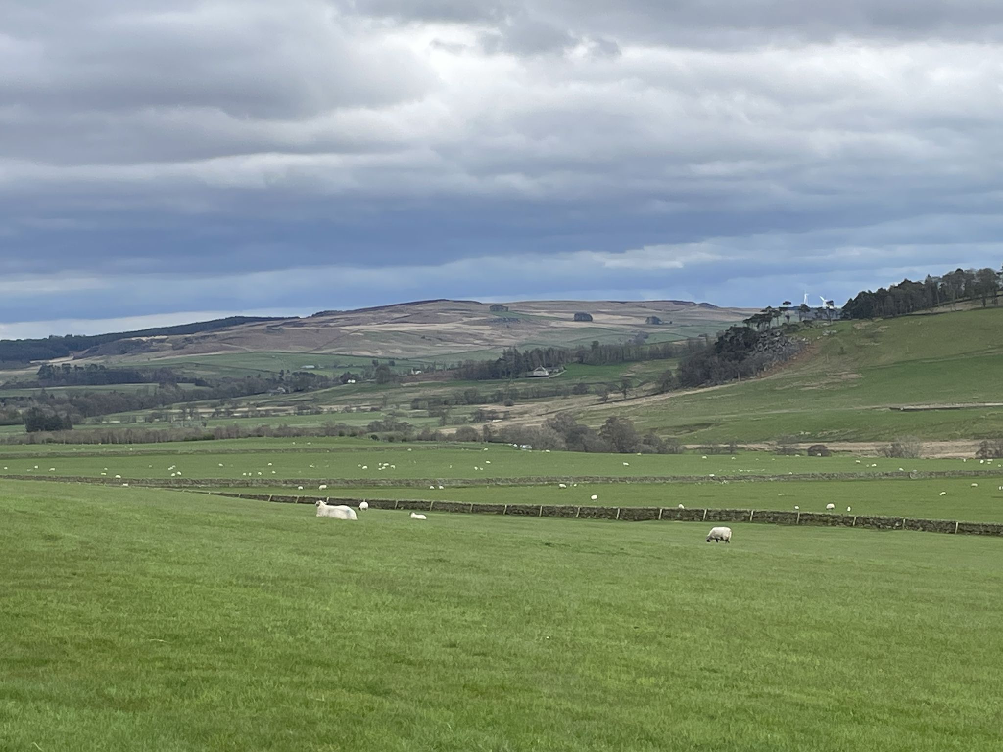 Between Bellingham and West Woodburn