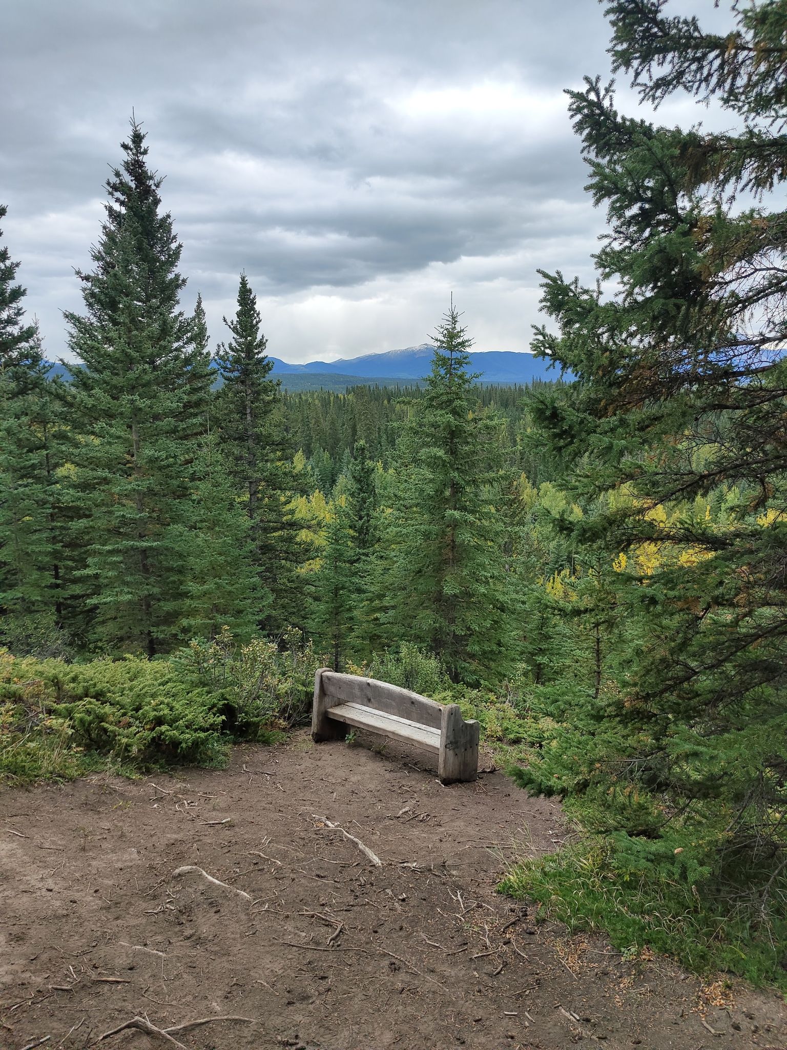 Bench