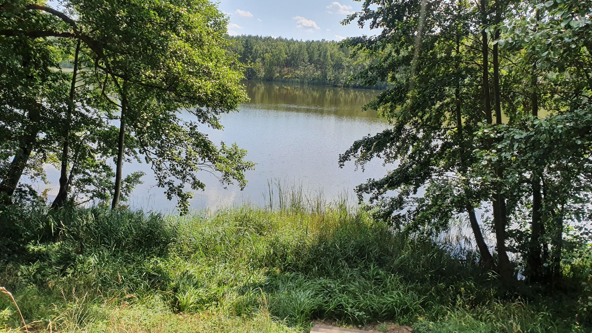 Widok na Jezioro Ciborze