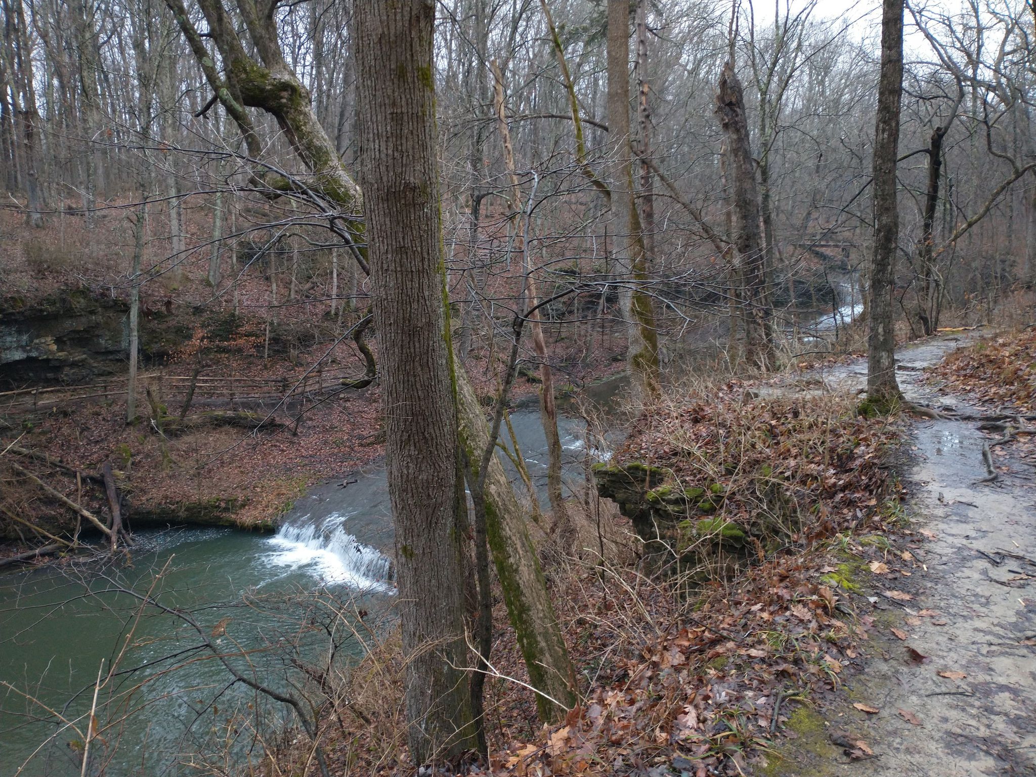 Overcast forest scene with a river, small waterfall, and dirt path. - Glen Helen, Little Miami & Clifton Gorge
