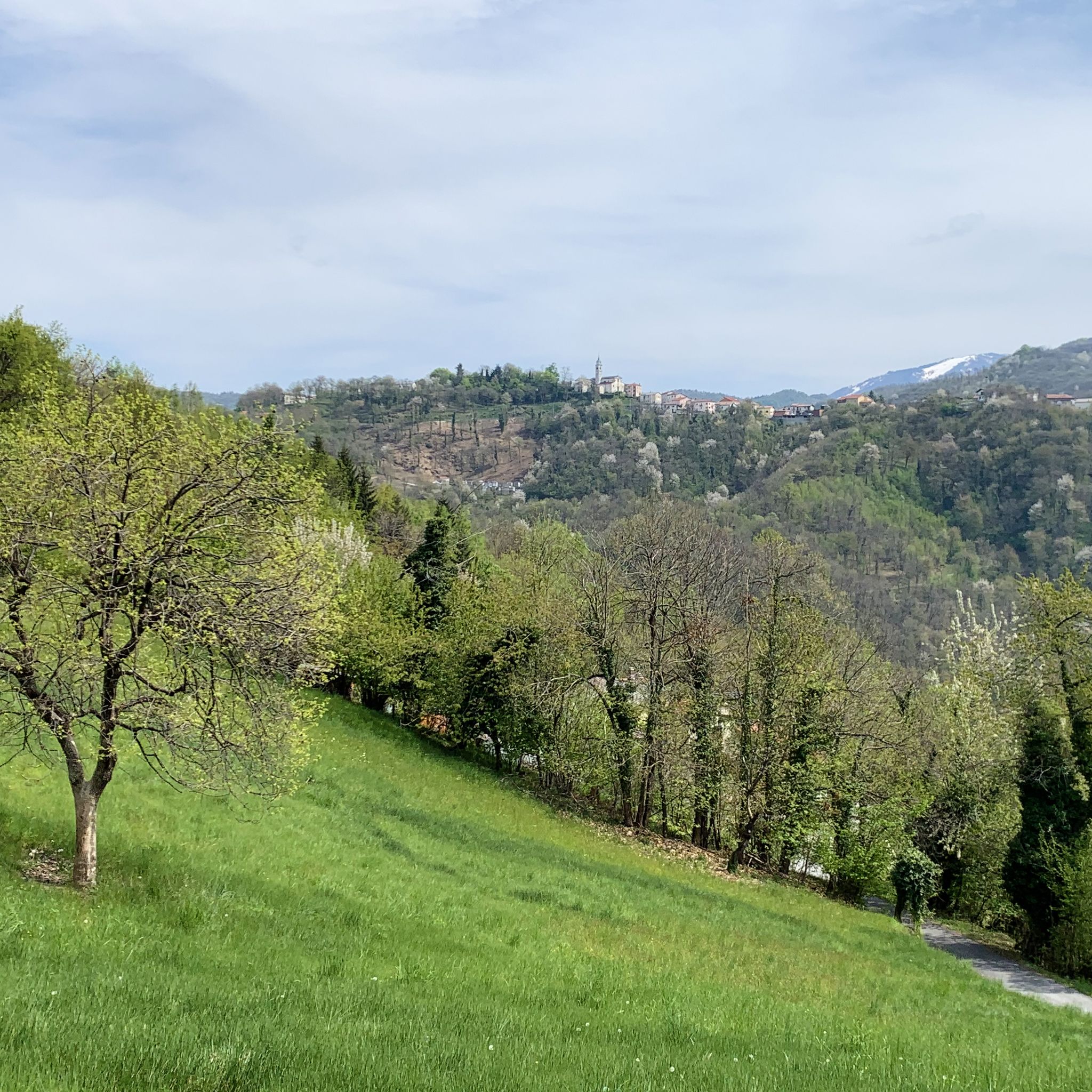 Bella vista su Montaldo