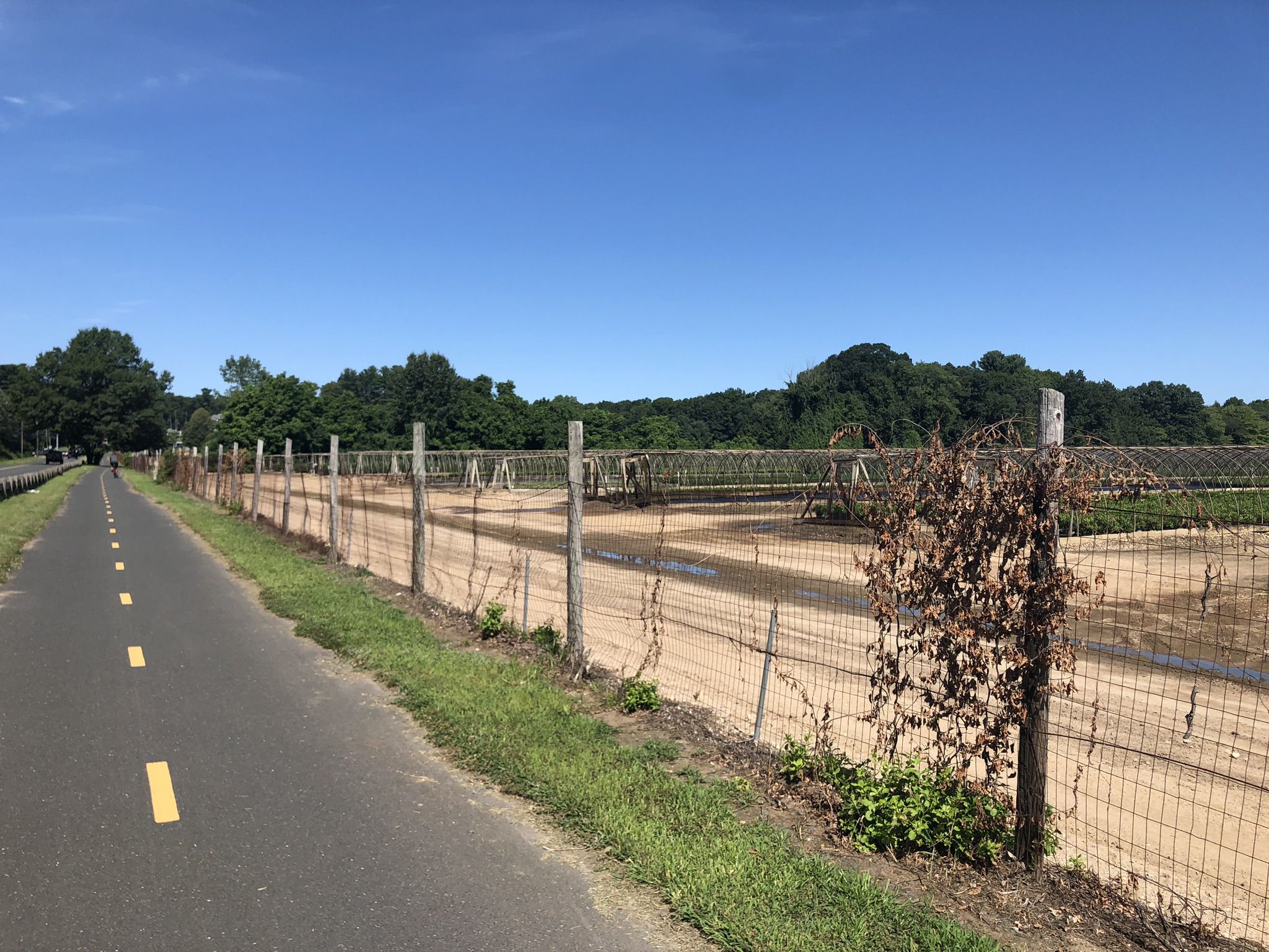 Paved path next to a fenced field under a bright blue sky. - Bike loop from Granby
