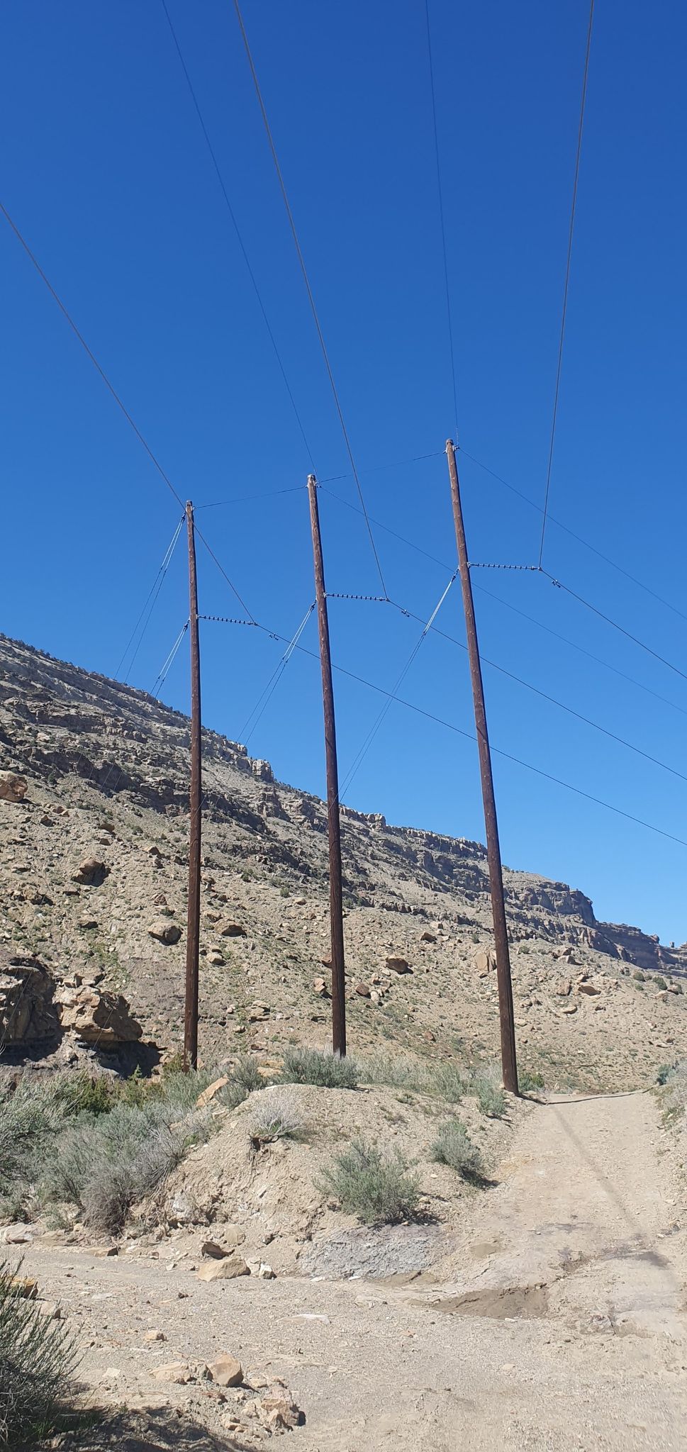 Three tall utility poles with lines against a bright blue sky. - Coal Canyon