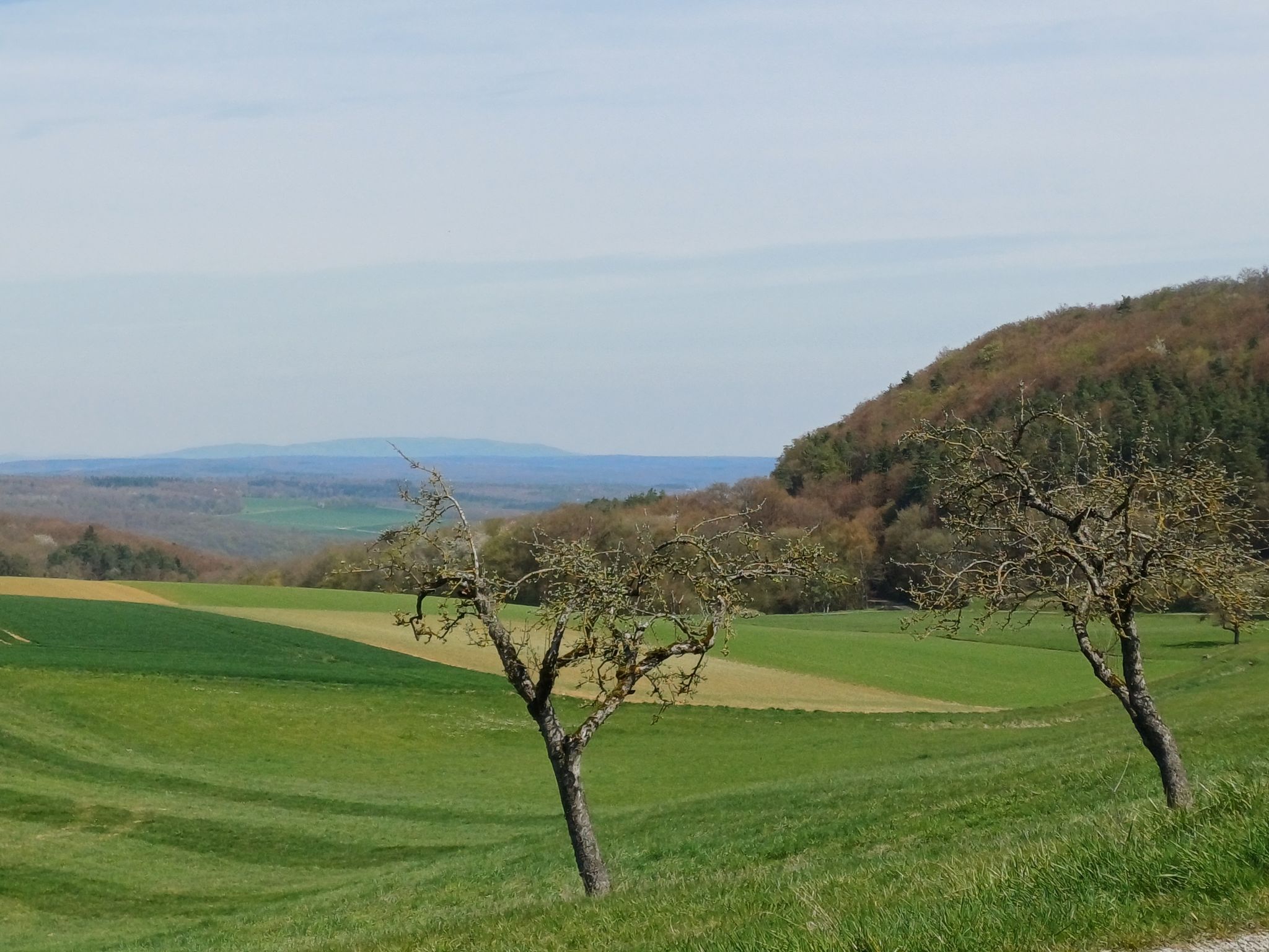 Rhön im Hintergrund