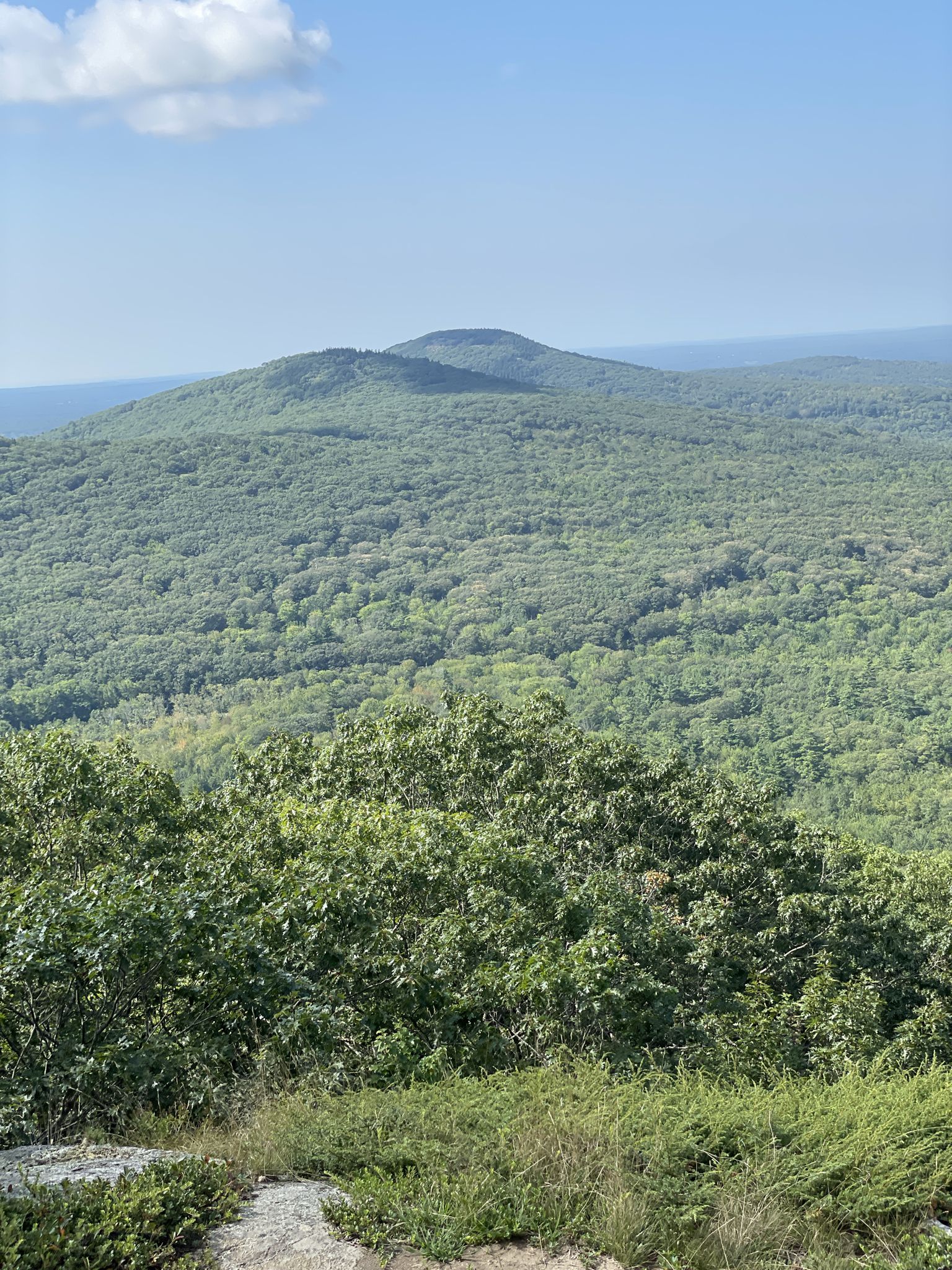 Expansive view of lush green forested hills under a bright blue sky. - Ragged Mountain Trail