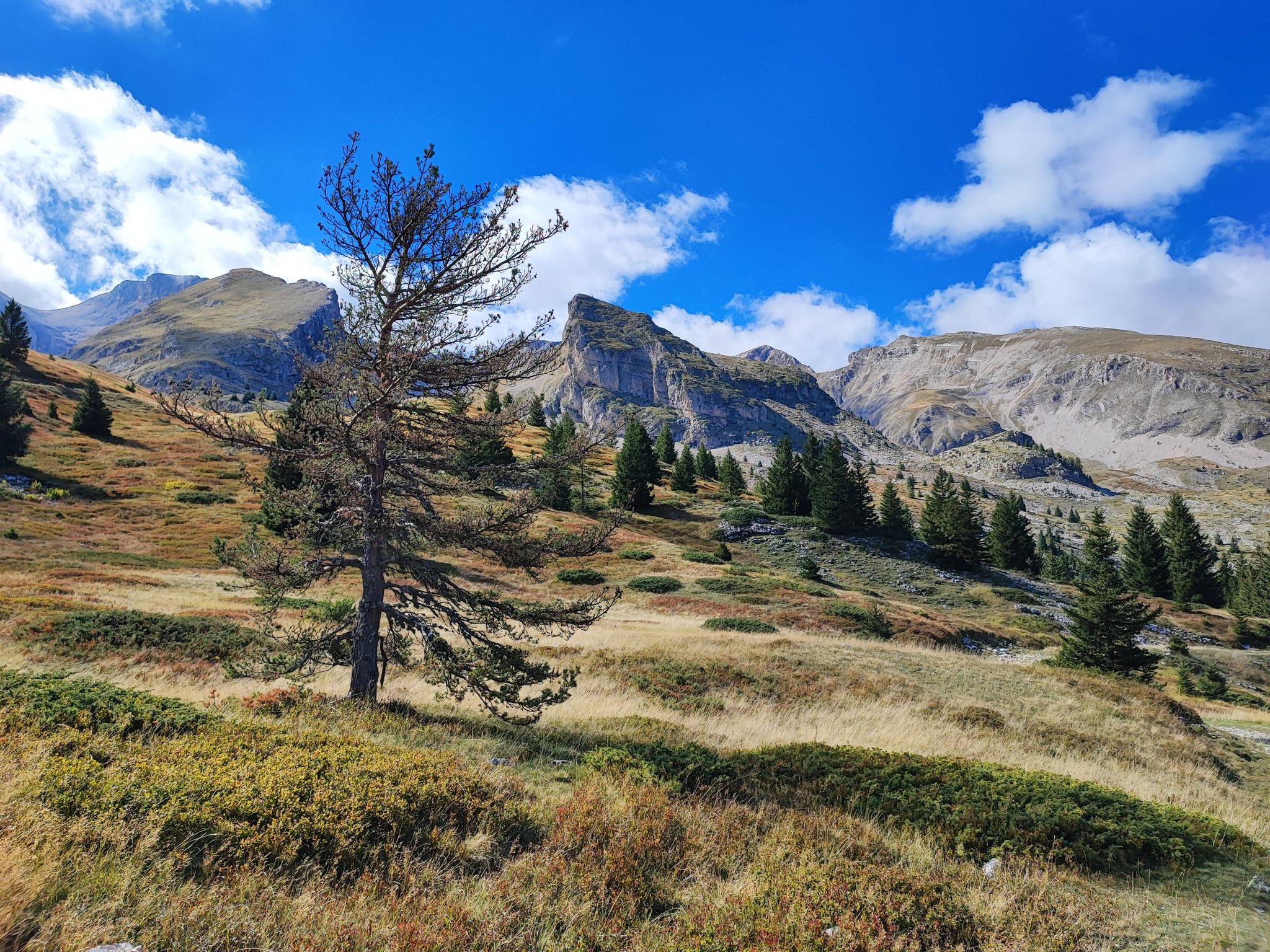 Weg zum Cabane du Vallon d'Ane 1