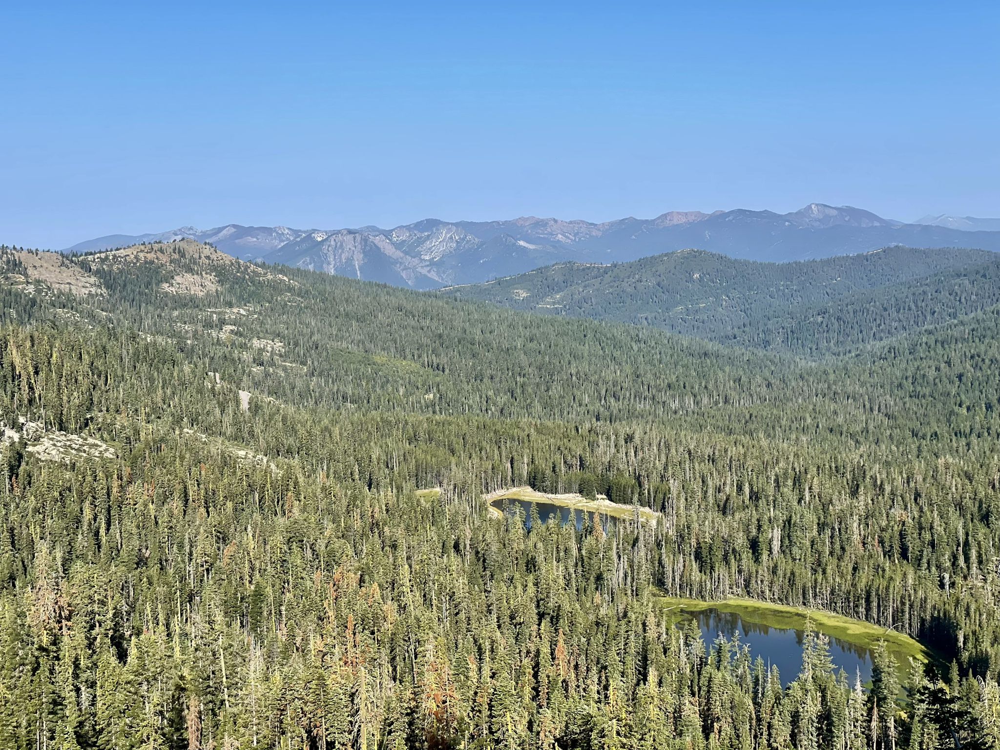 Expansive forest landscape with two small lakes and distant mountains under clear sky. - Seven Lakes Basin via the PCT