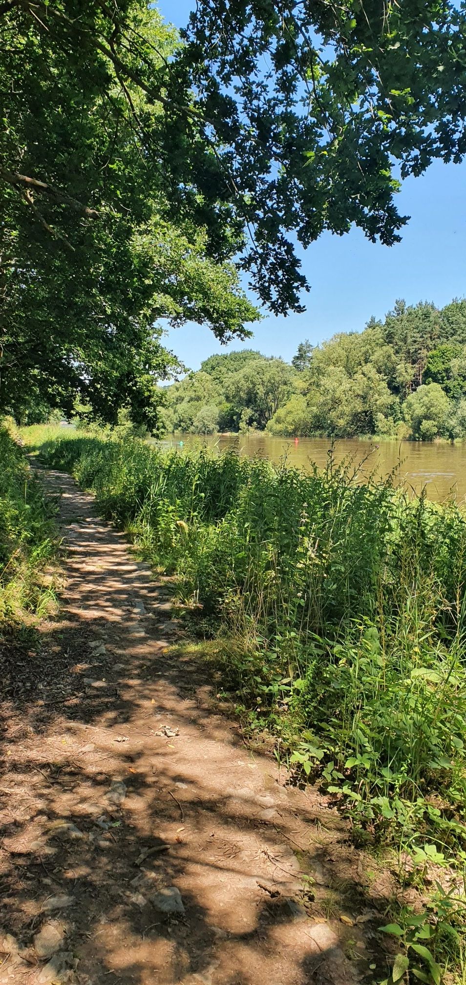 mein Weg entlang der Moldau