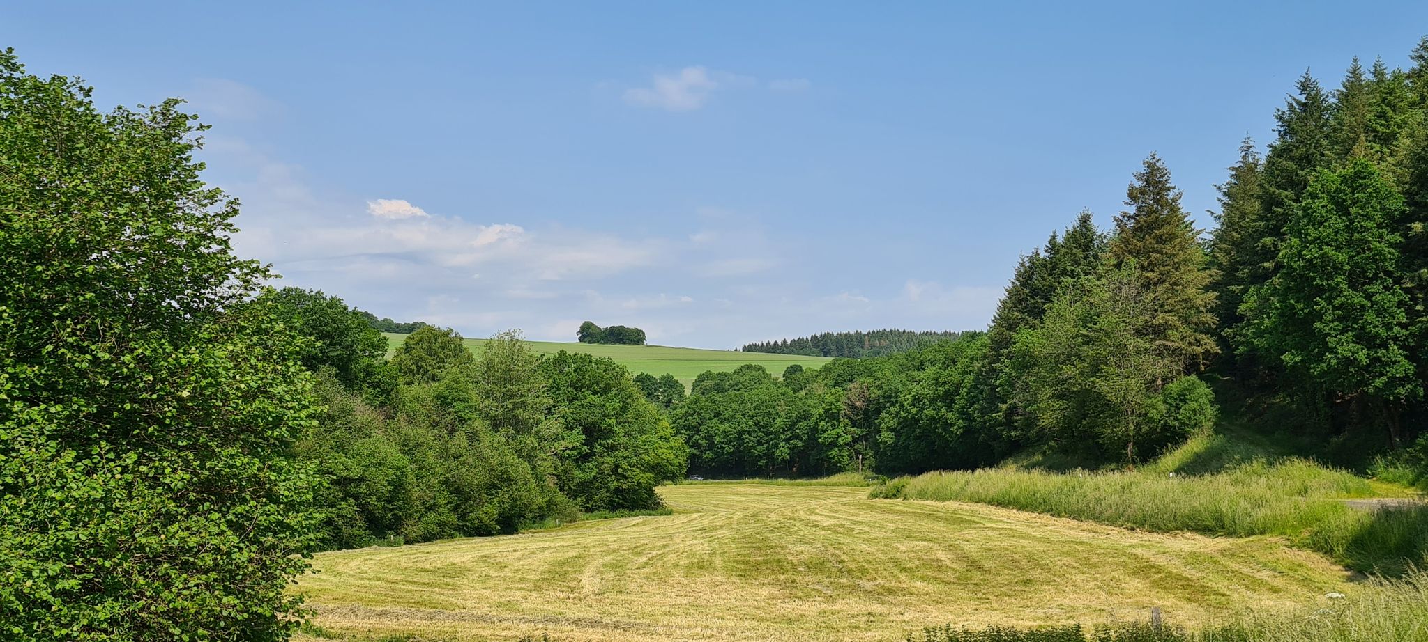 Die Wiesen werden gemäht