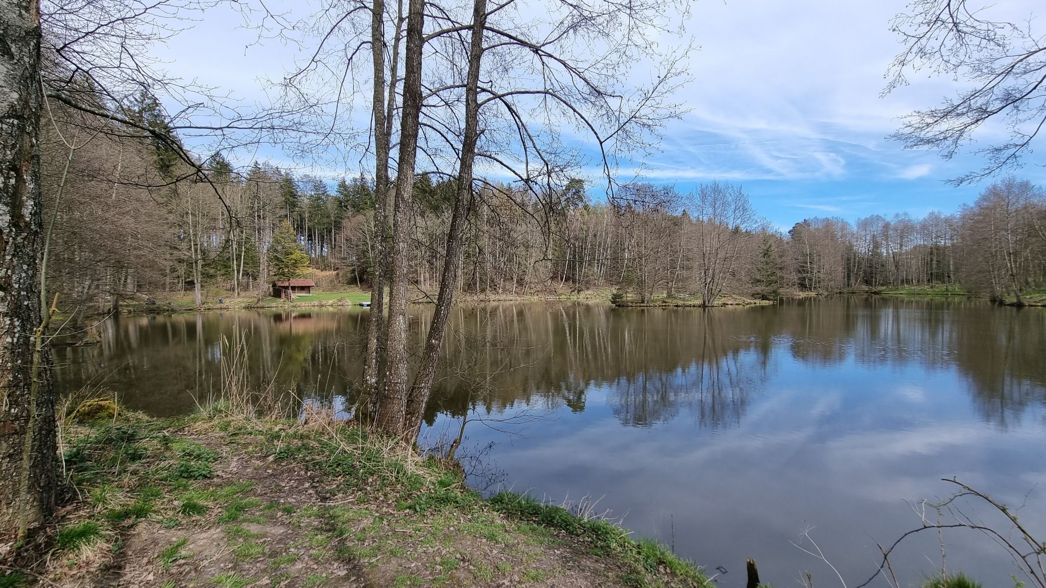 Bihlafinger Weiher
