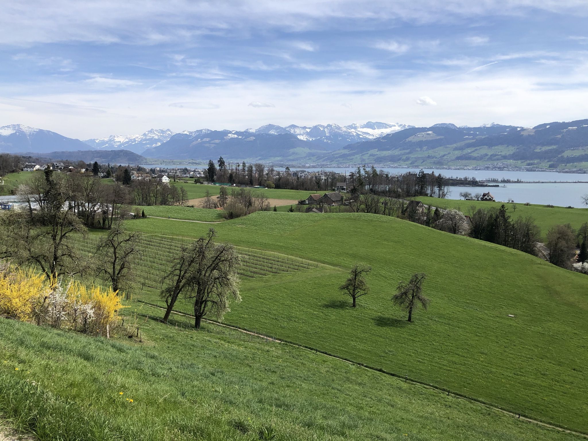Ausblick vom Schwöschterrain