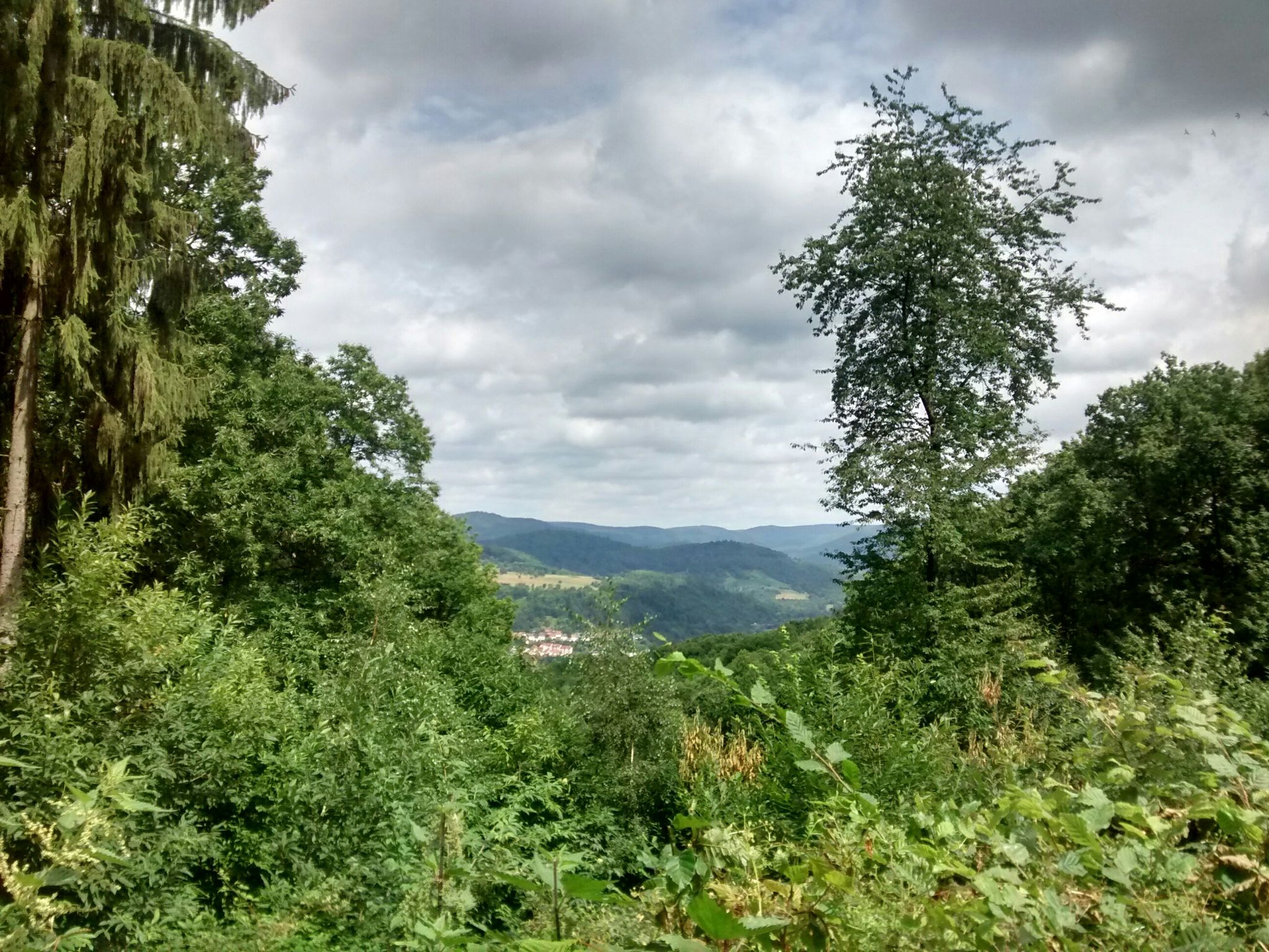 Blick vom Asselstein